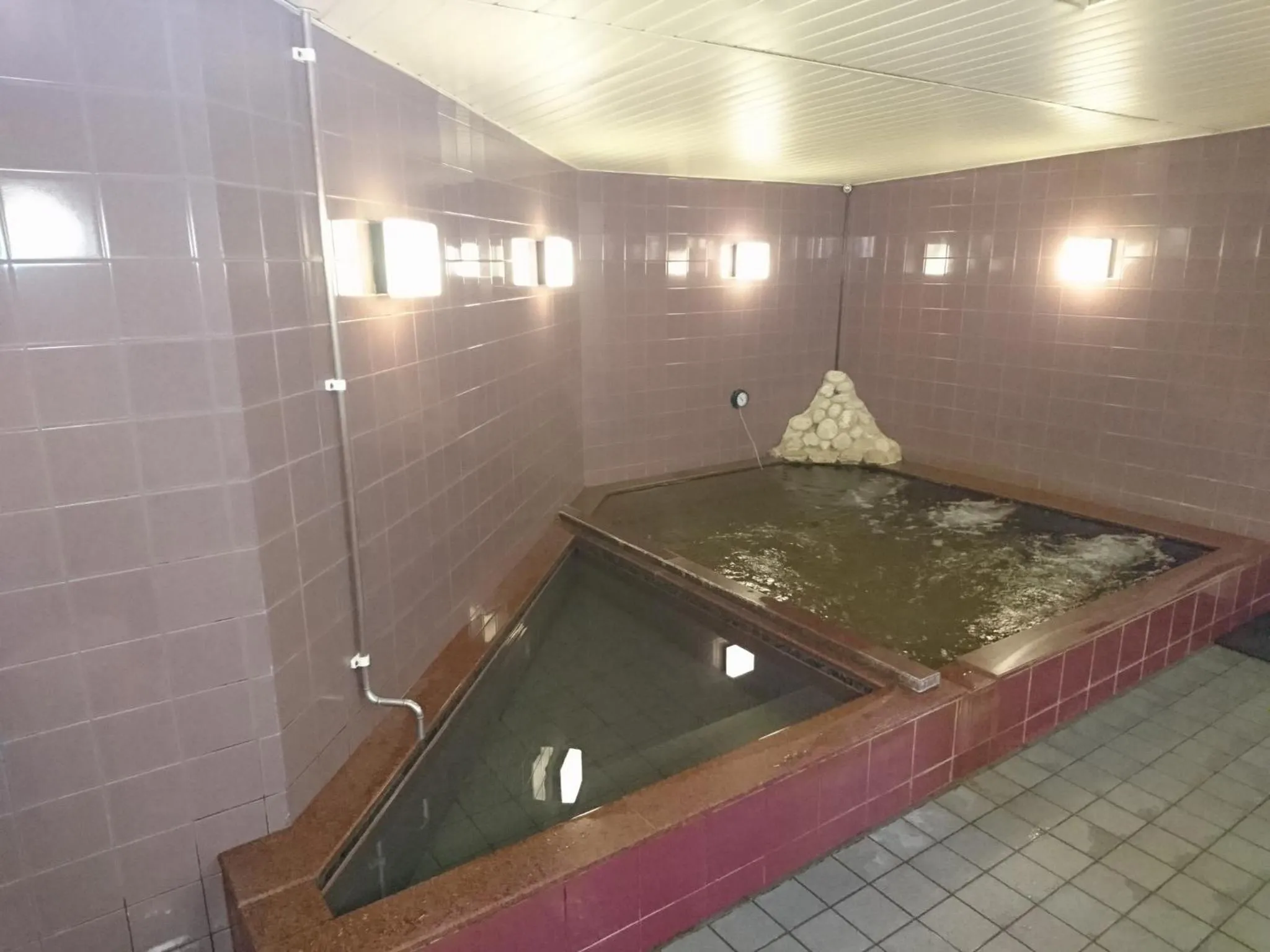 Public Bath in Atsugi Capsule Hotel