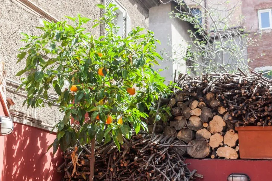 Garden in Casa in Monti