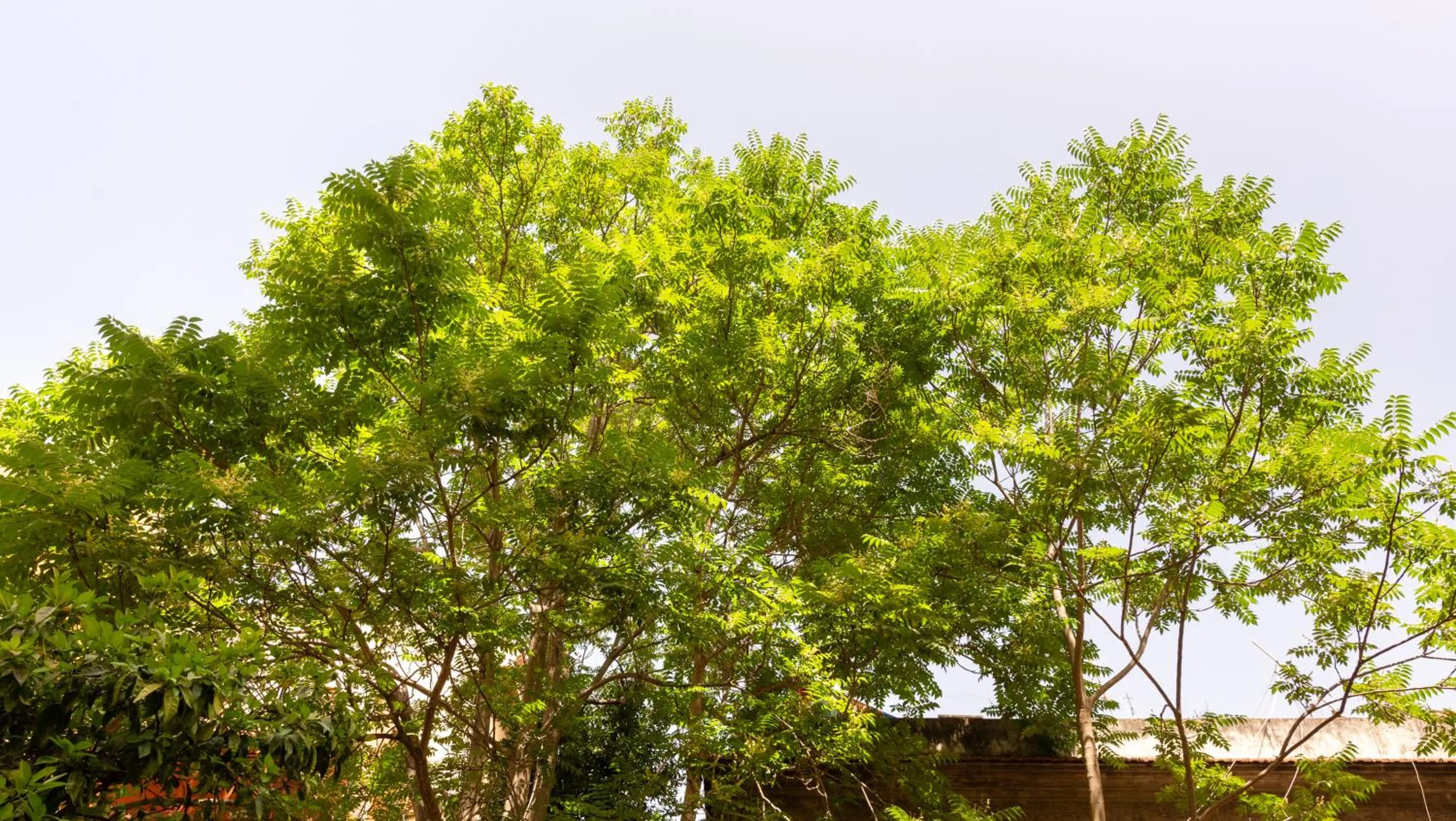 View (from property/room) in Casa in Monti