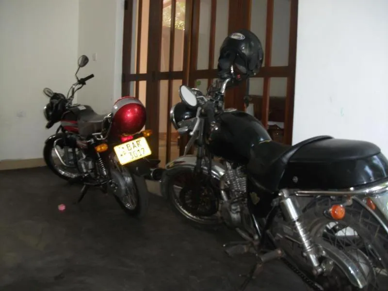 Area and facilities in Chelli Homestay