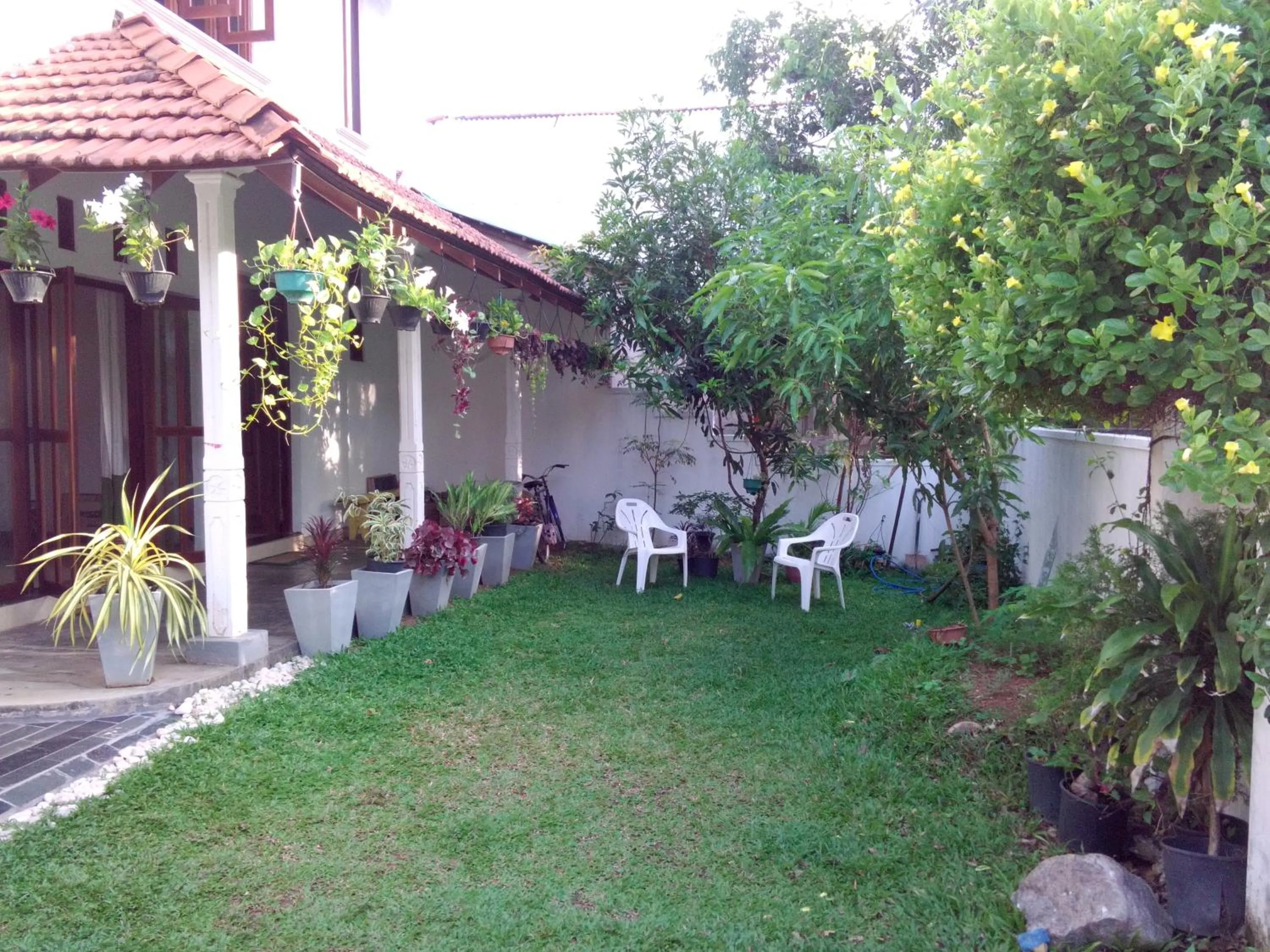 Garden in Chelli Homestay