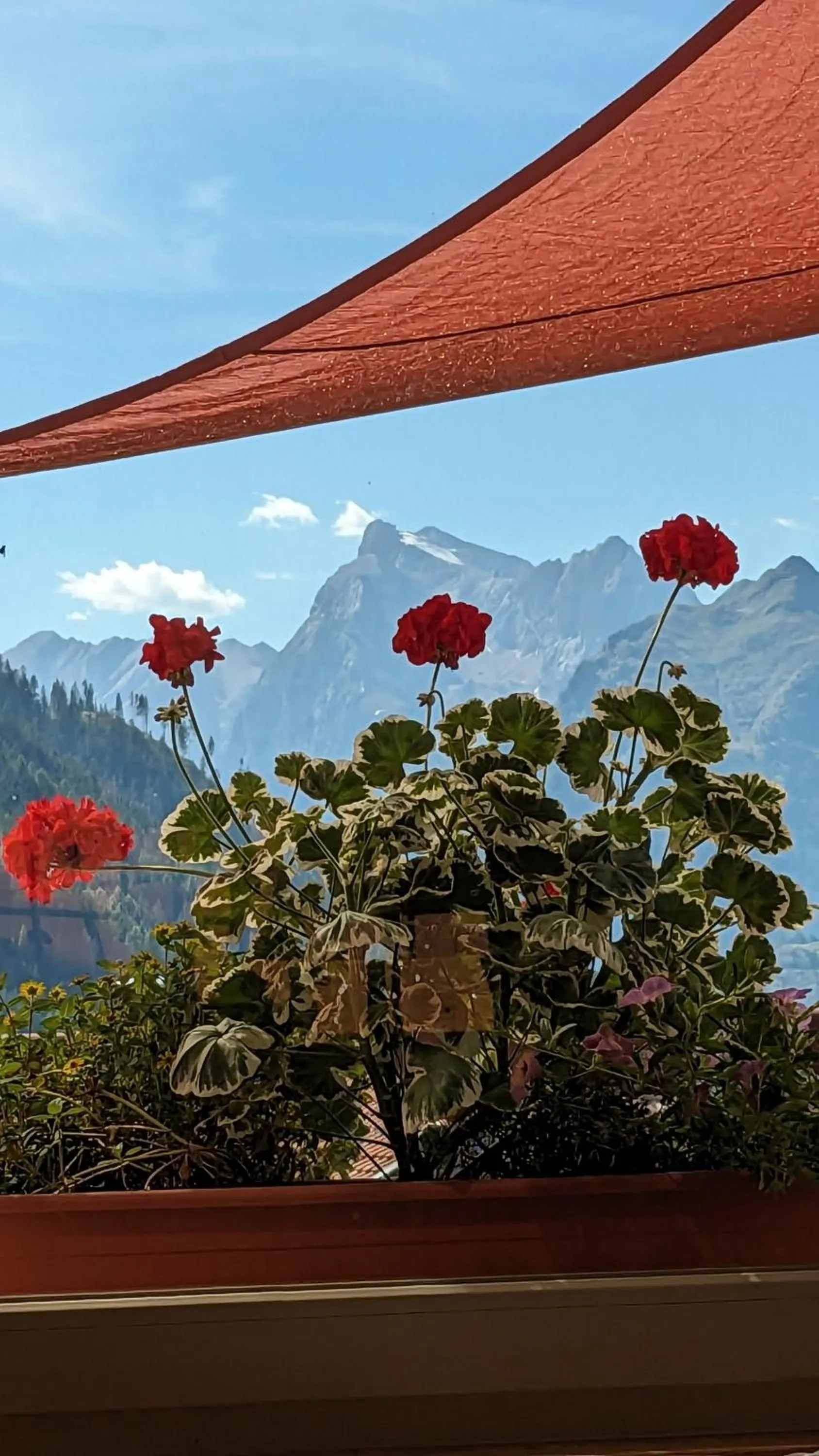 View (from property/room) in Hotel Ca' del Bosco