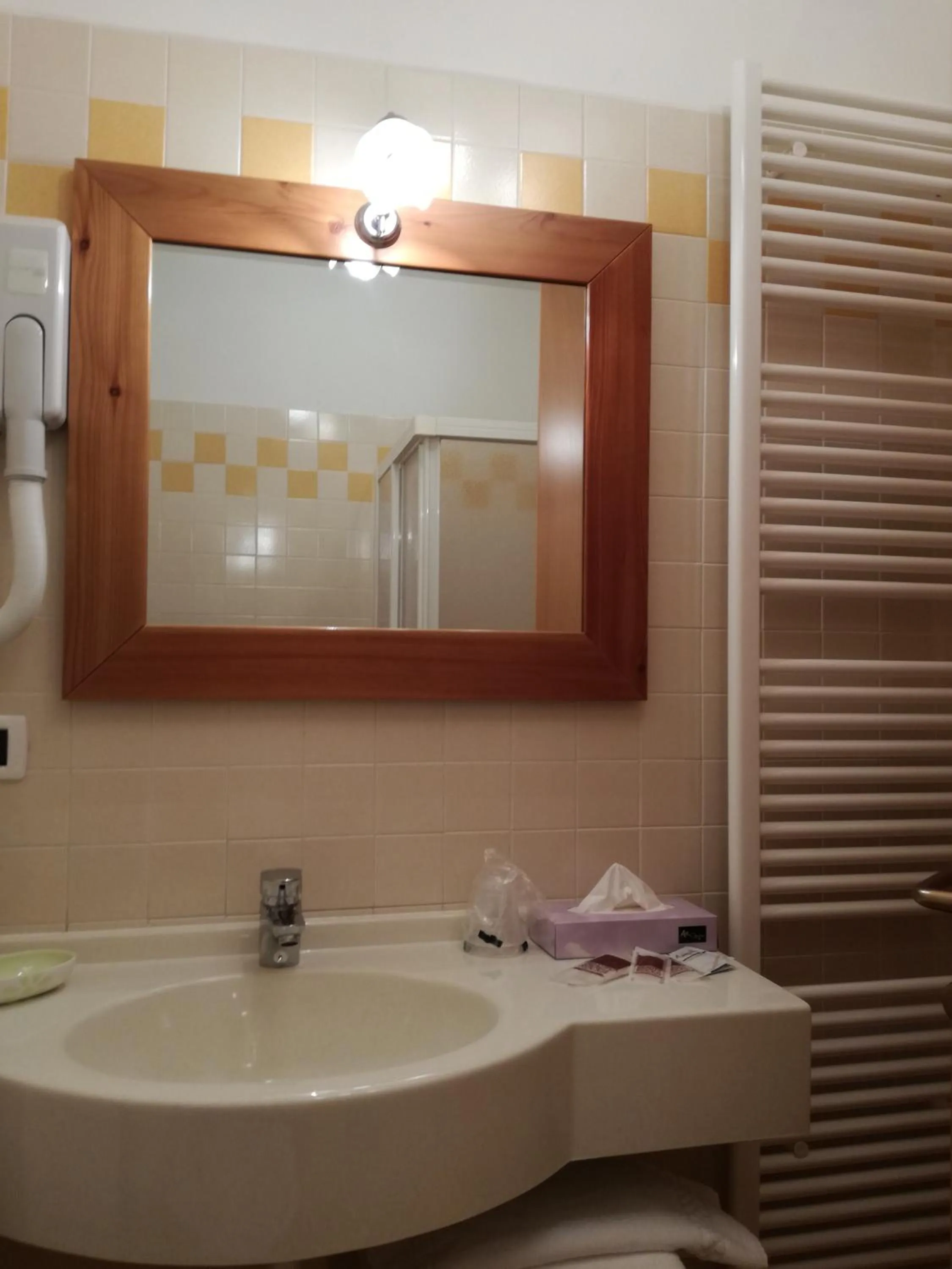 Shower in Hotel Ca' del Bosco