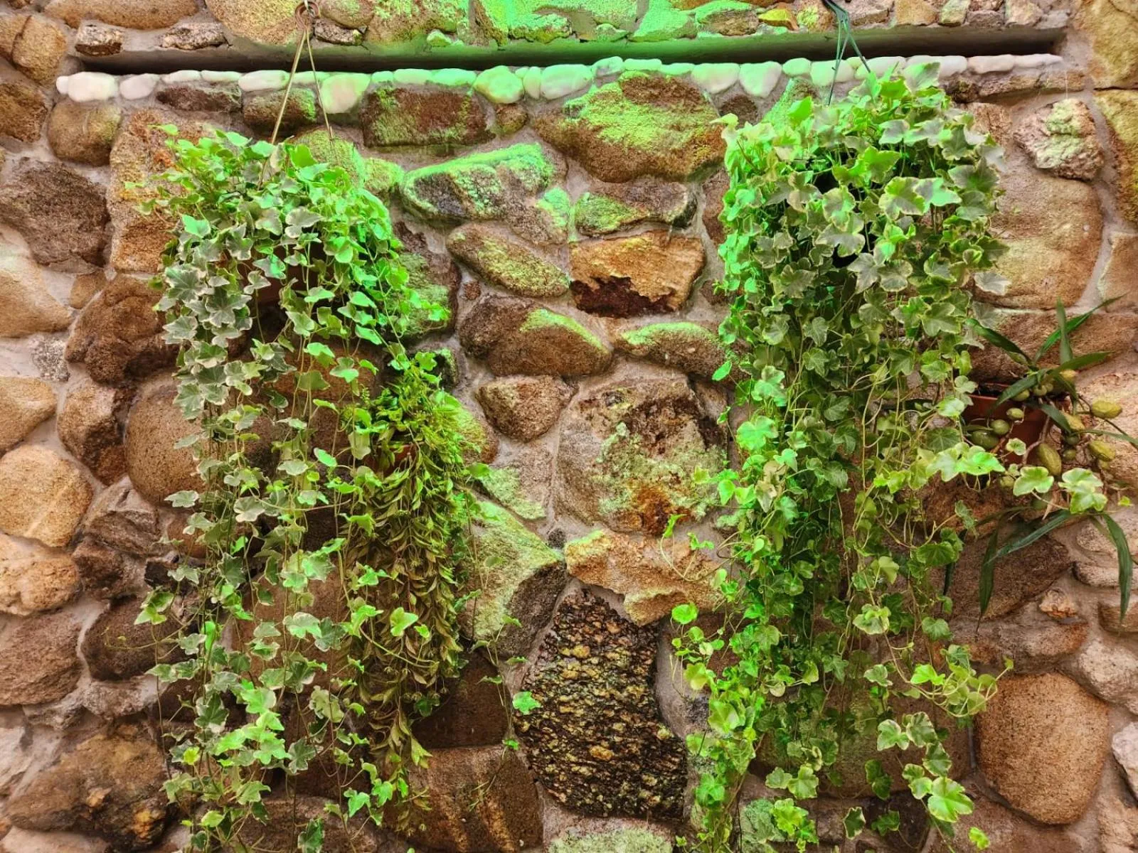 Pousada Alto da Neblina