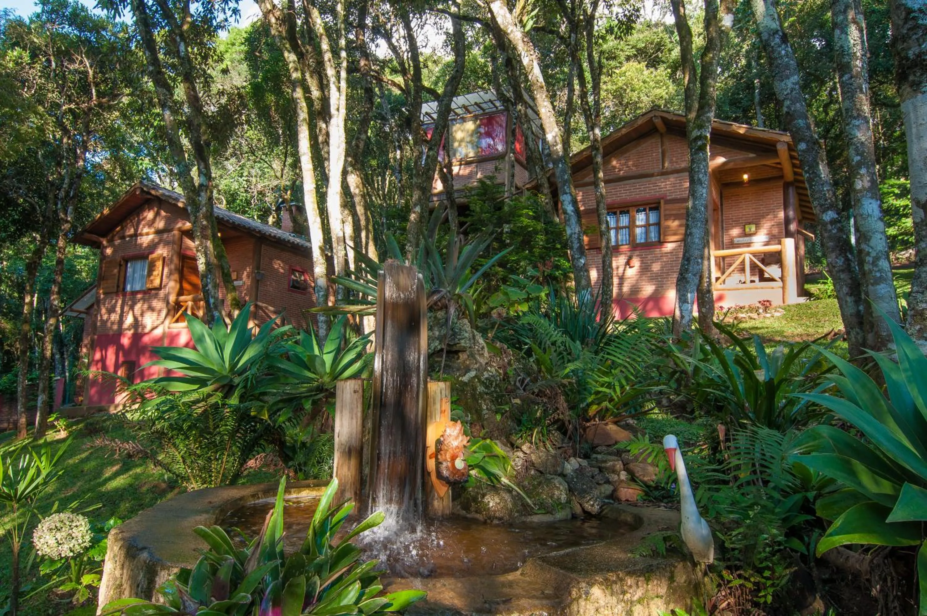 Garden in Pousada Alto da Neblina