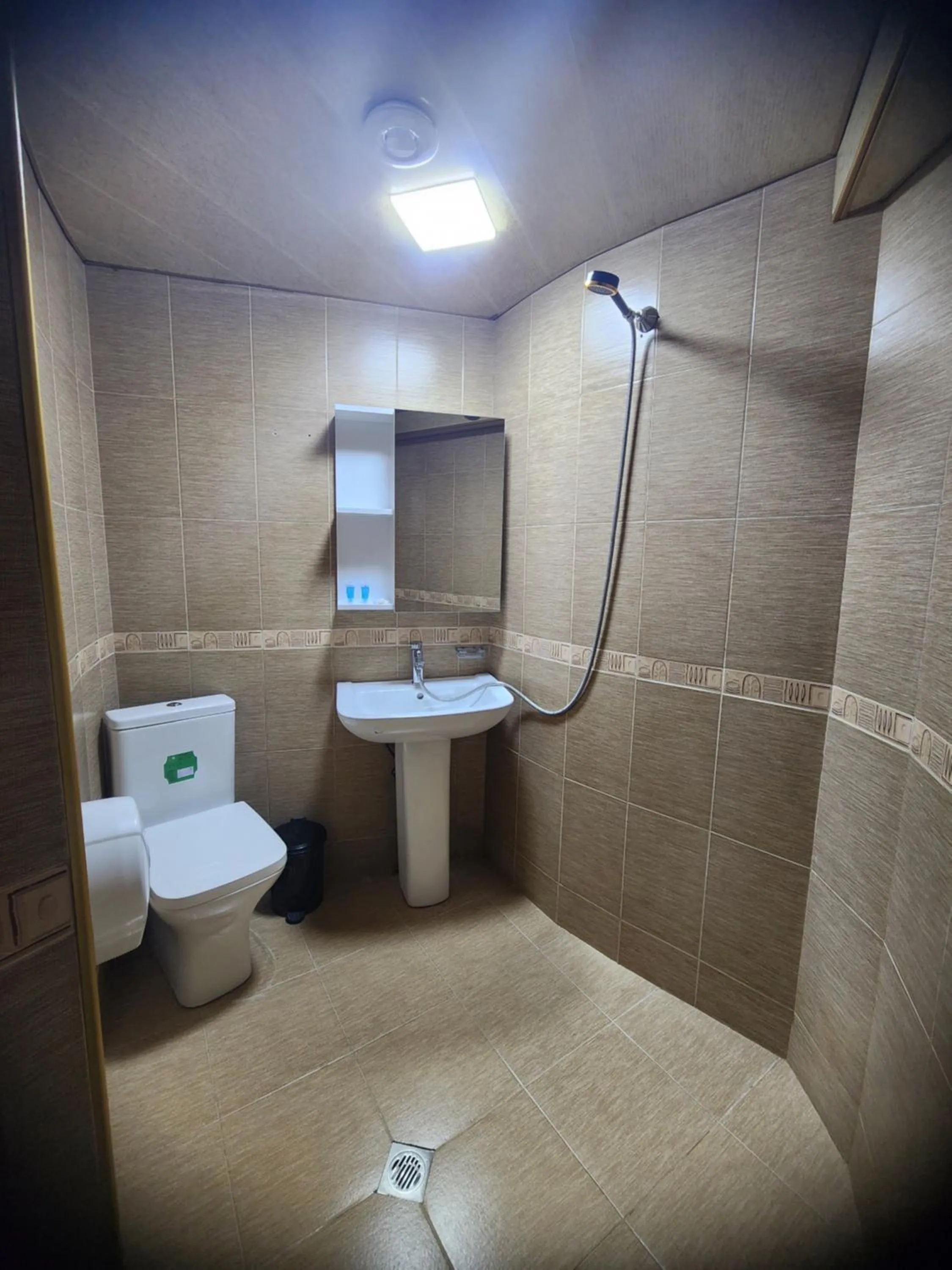 Shower in Hotel Piza