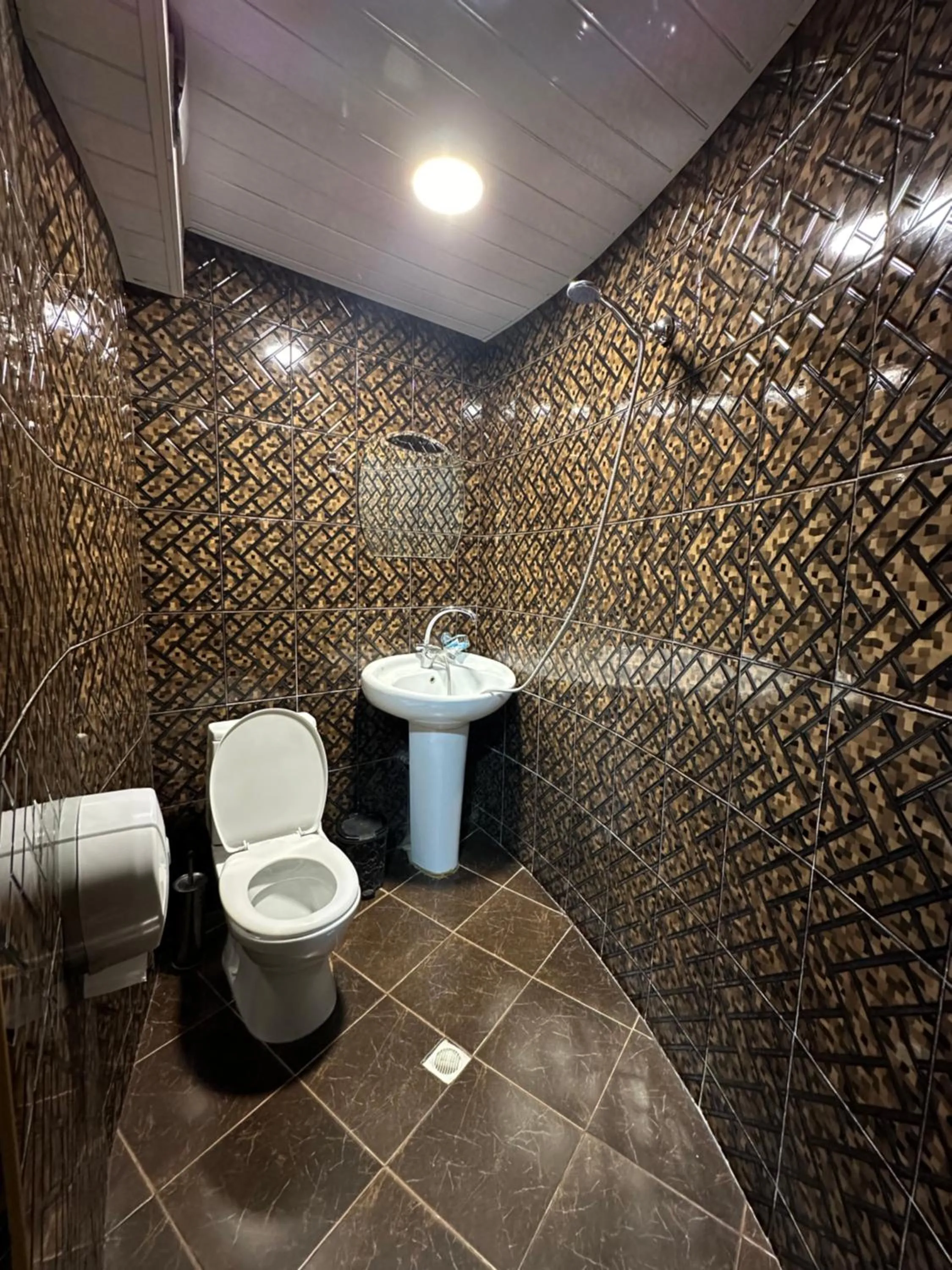 Shower in Hotel Piza