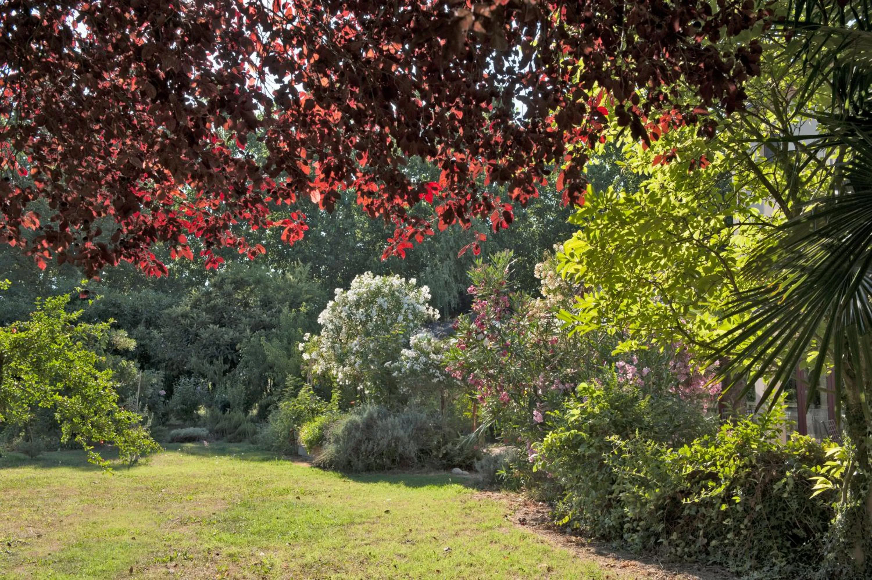 Garden in Villa Belfiore