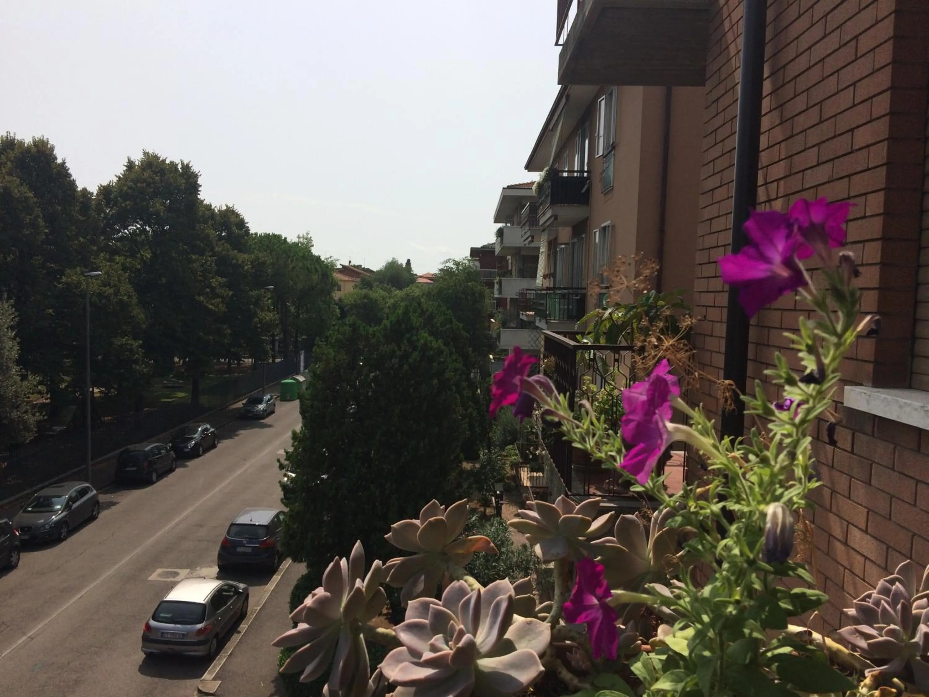 Property building in B&B Pergolesi