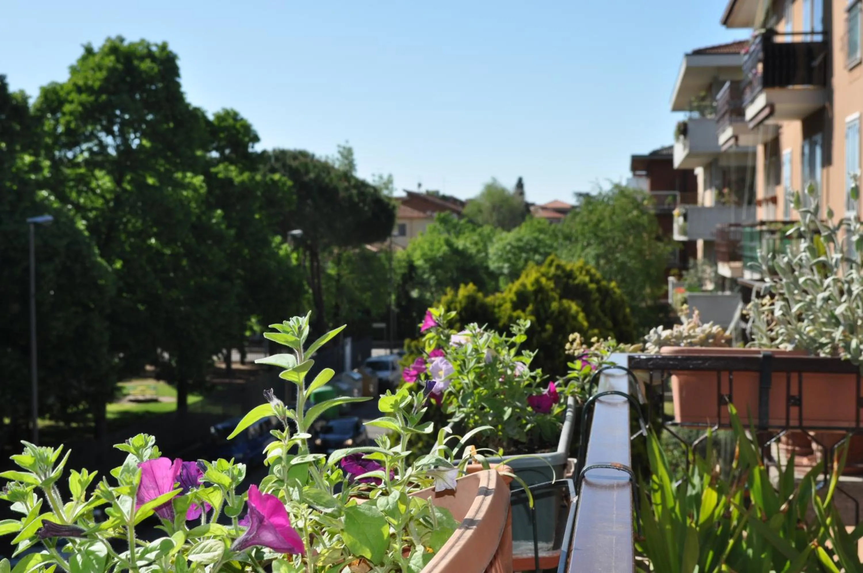 Spring in B&B Pergolesi