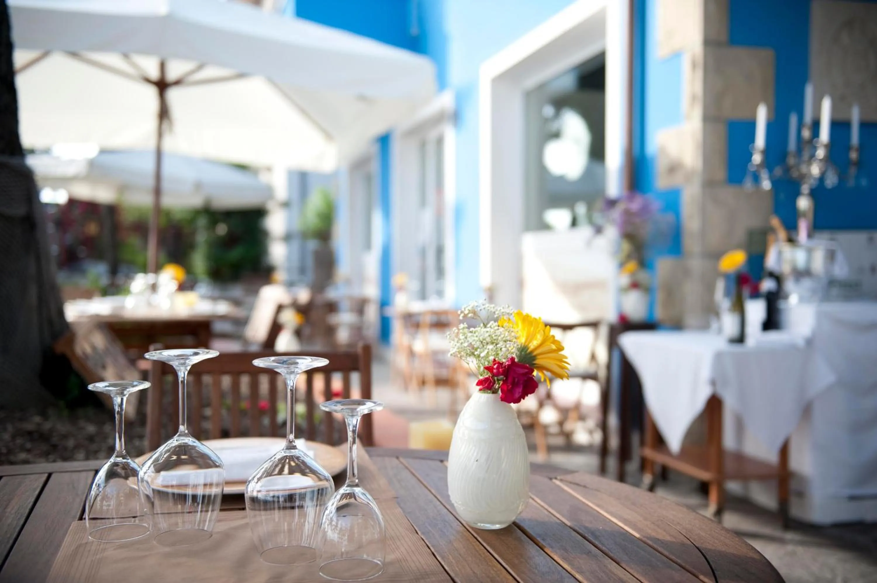 Garden in Hotel Silvana