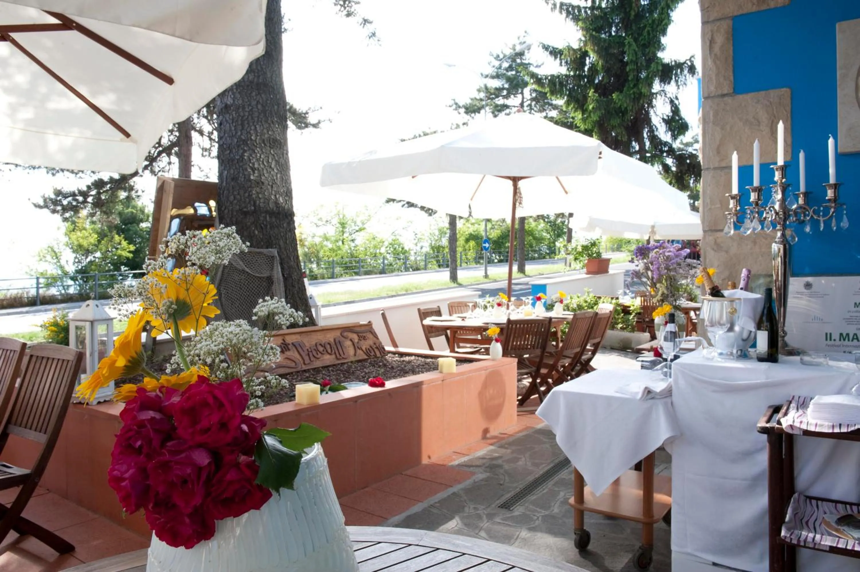 Garden in Hotel Silvana