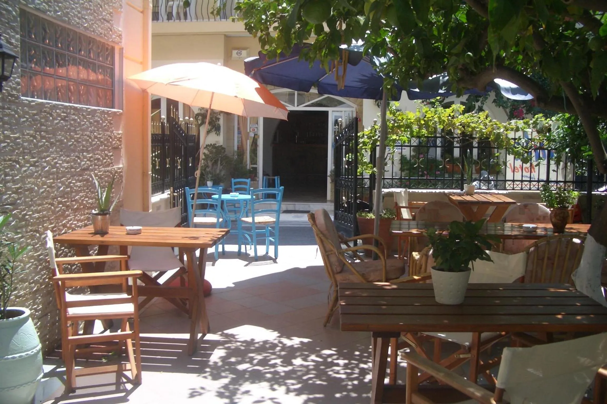 Garden in Voula Hotel