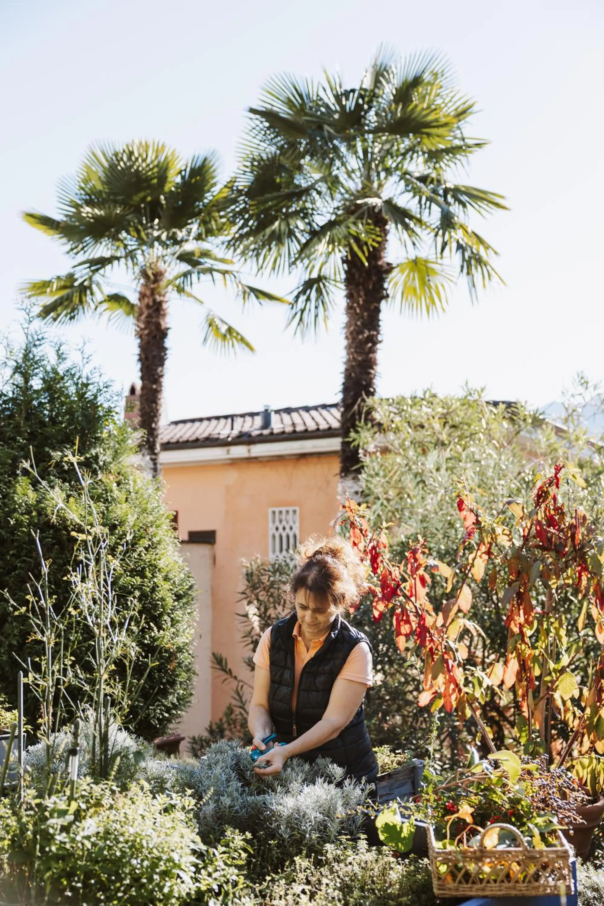Garden in Art Hotel Riposo