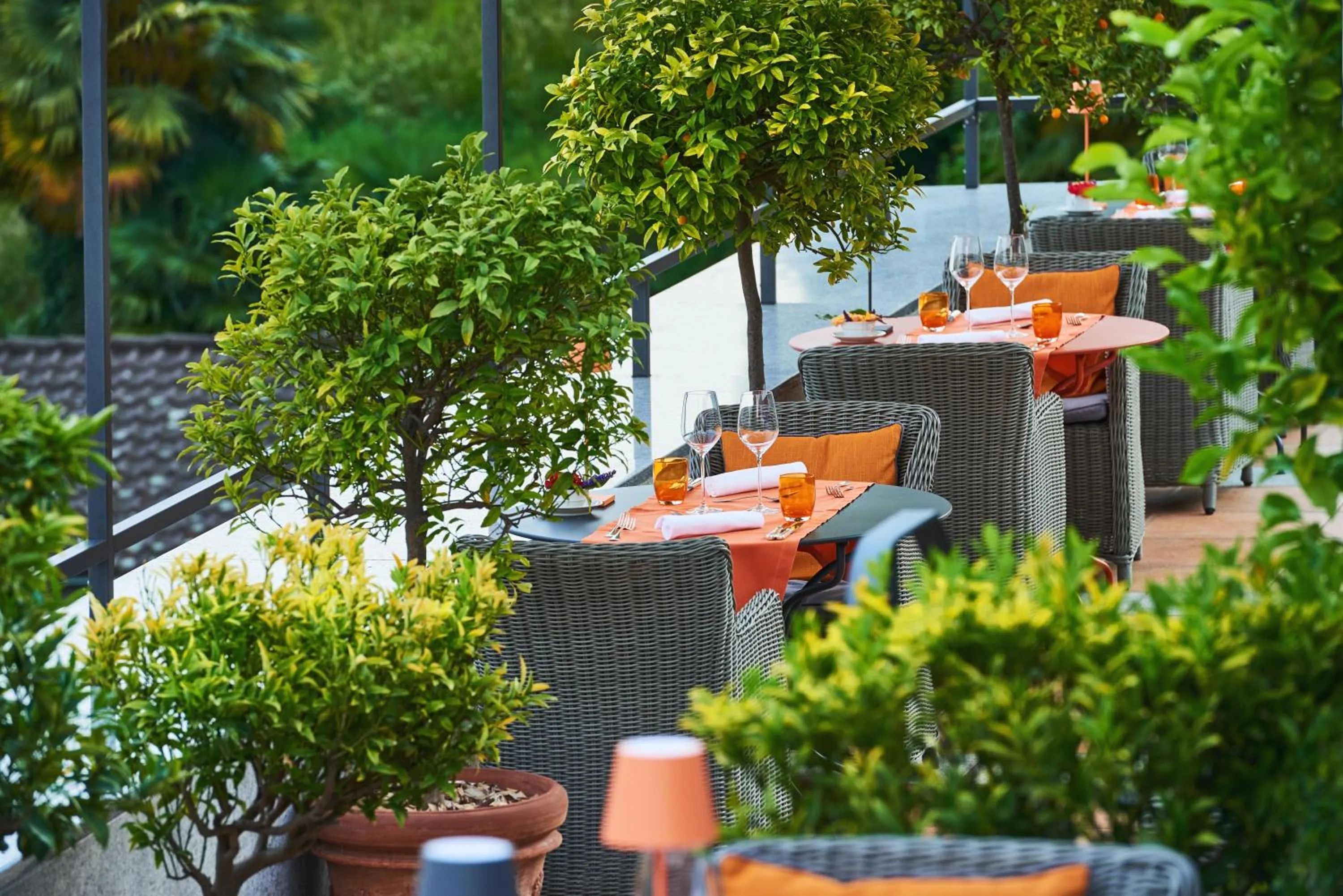 Restaurant/places to eat in Art Hotel Riposo