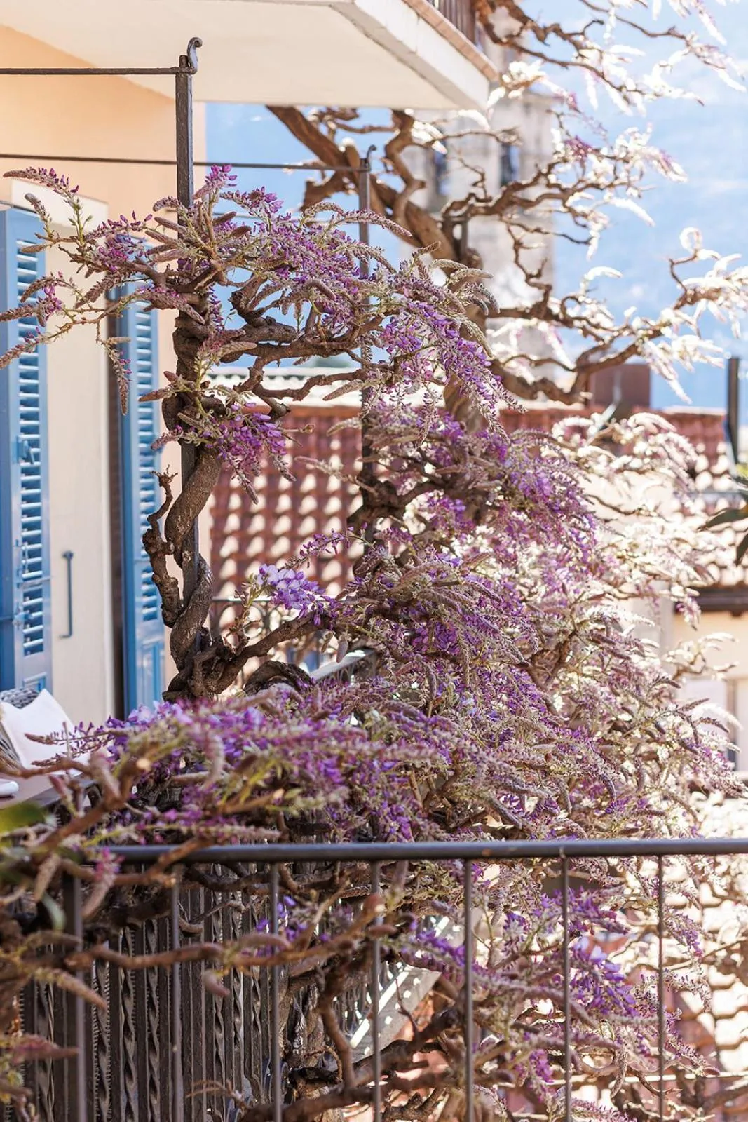 Spring in Art Hotel Riposo