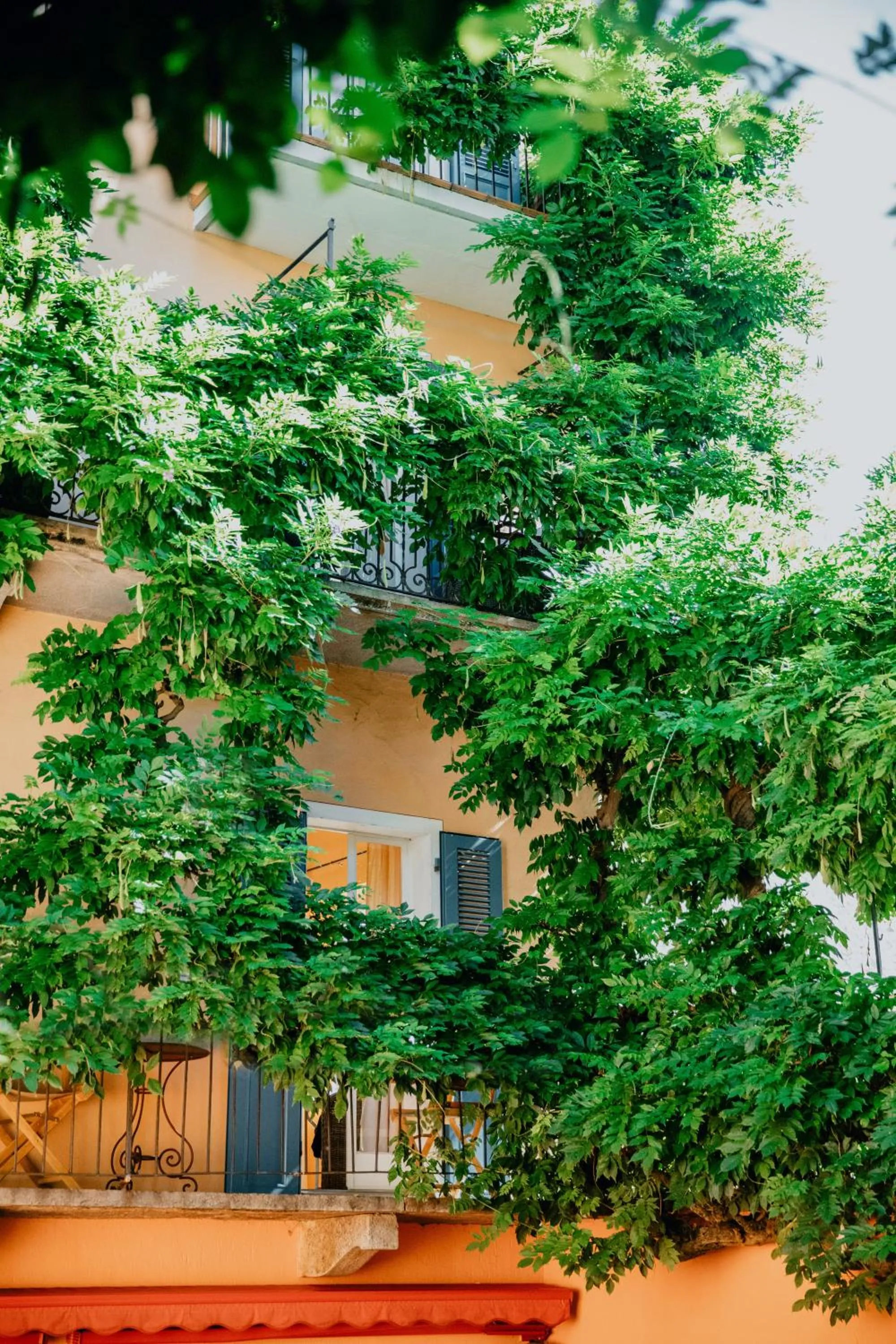 Property building in Art Hotel Riposo