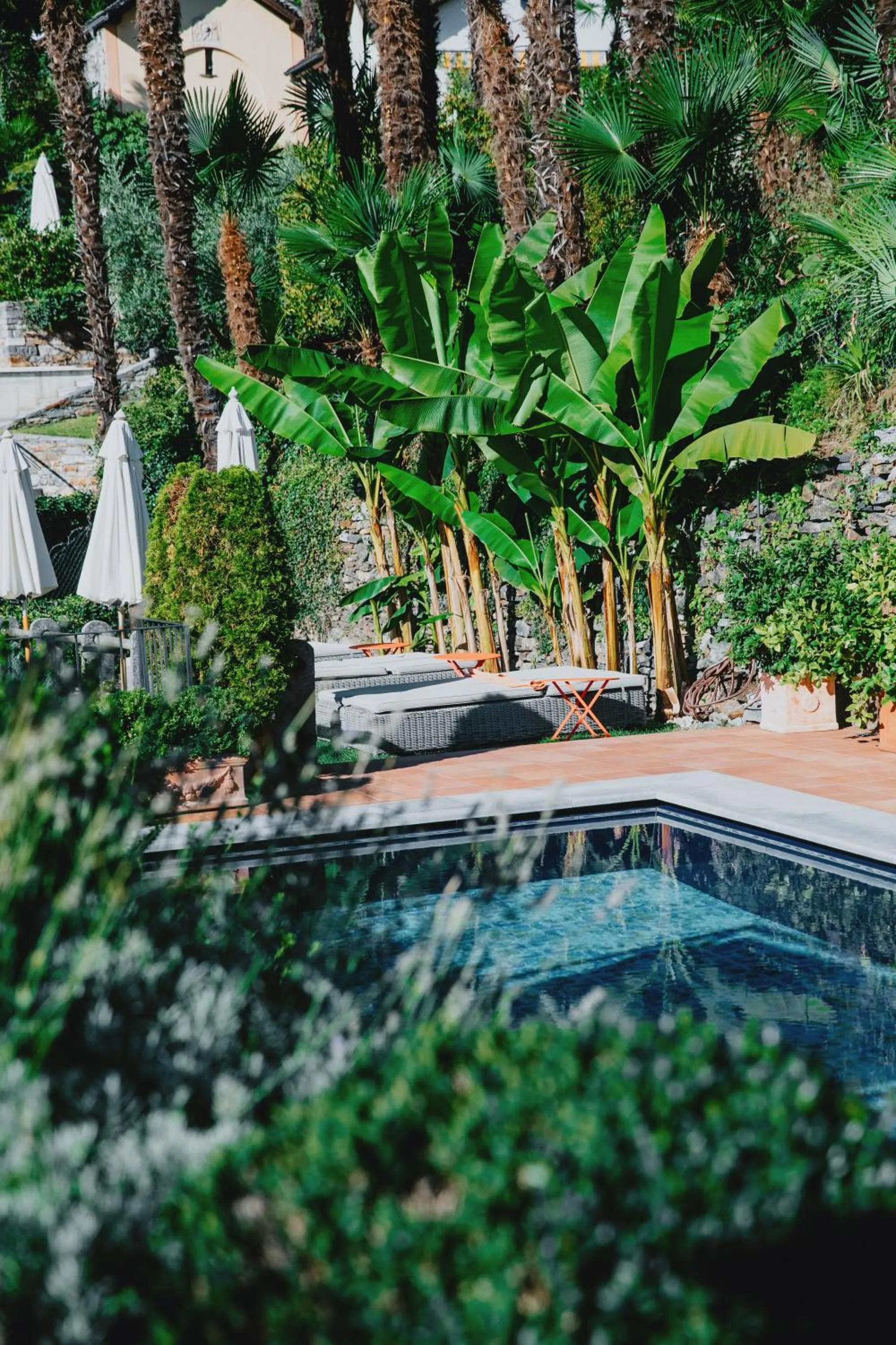 Garden in Art Hotel Riposo