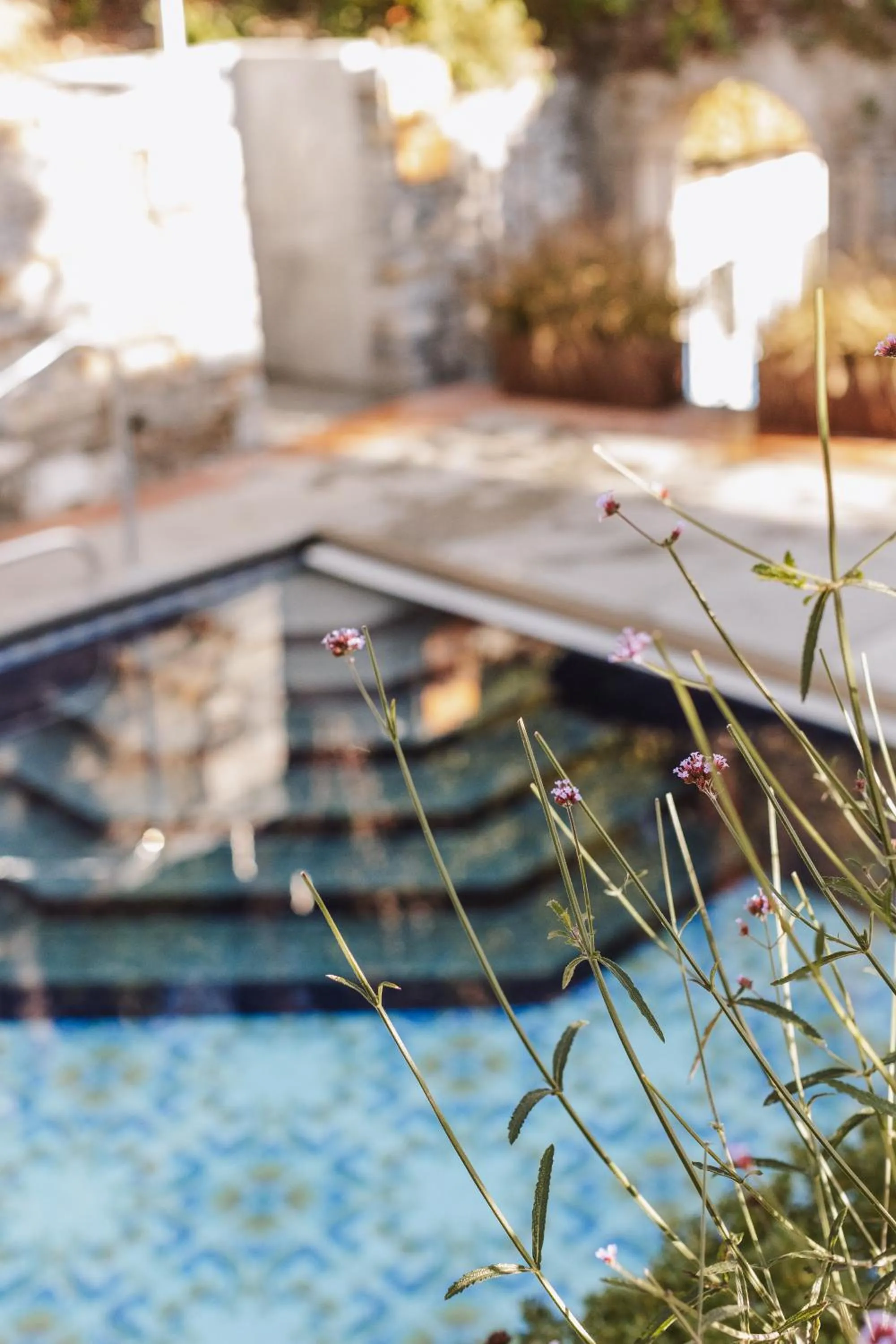 Balcony/Terrace in Art Hotel Riposo