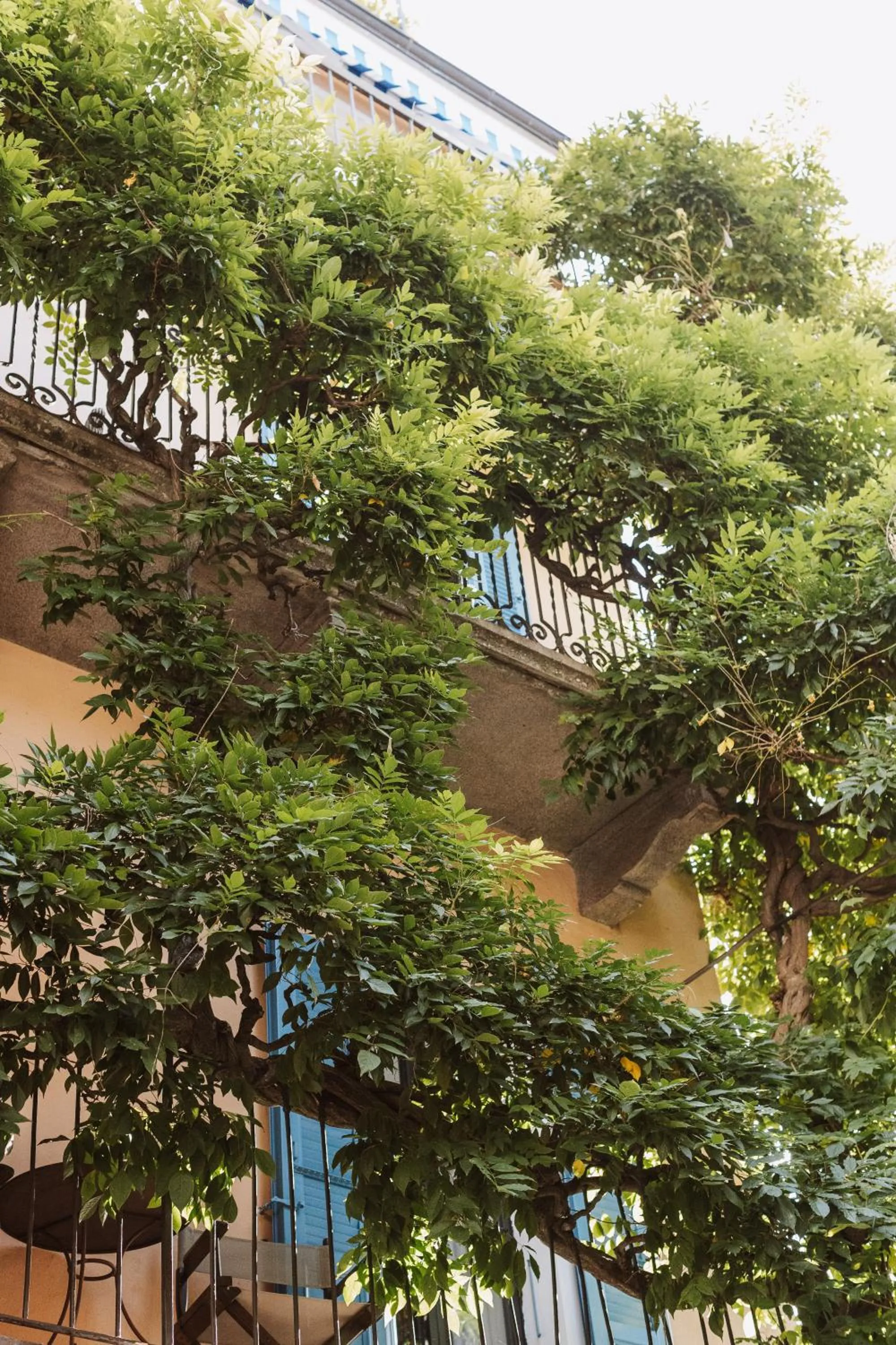 Patio in Art Hotel Riposo