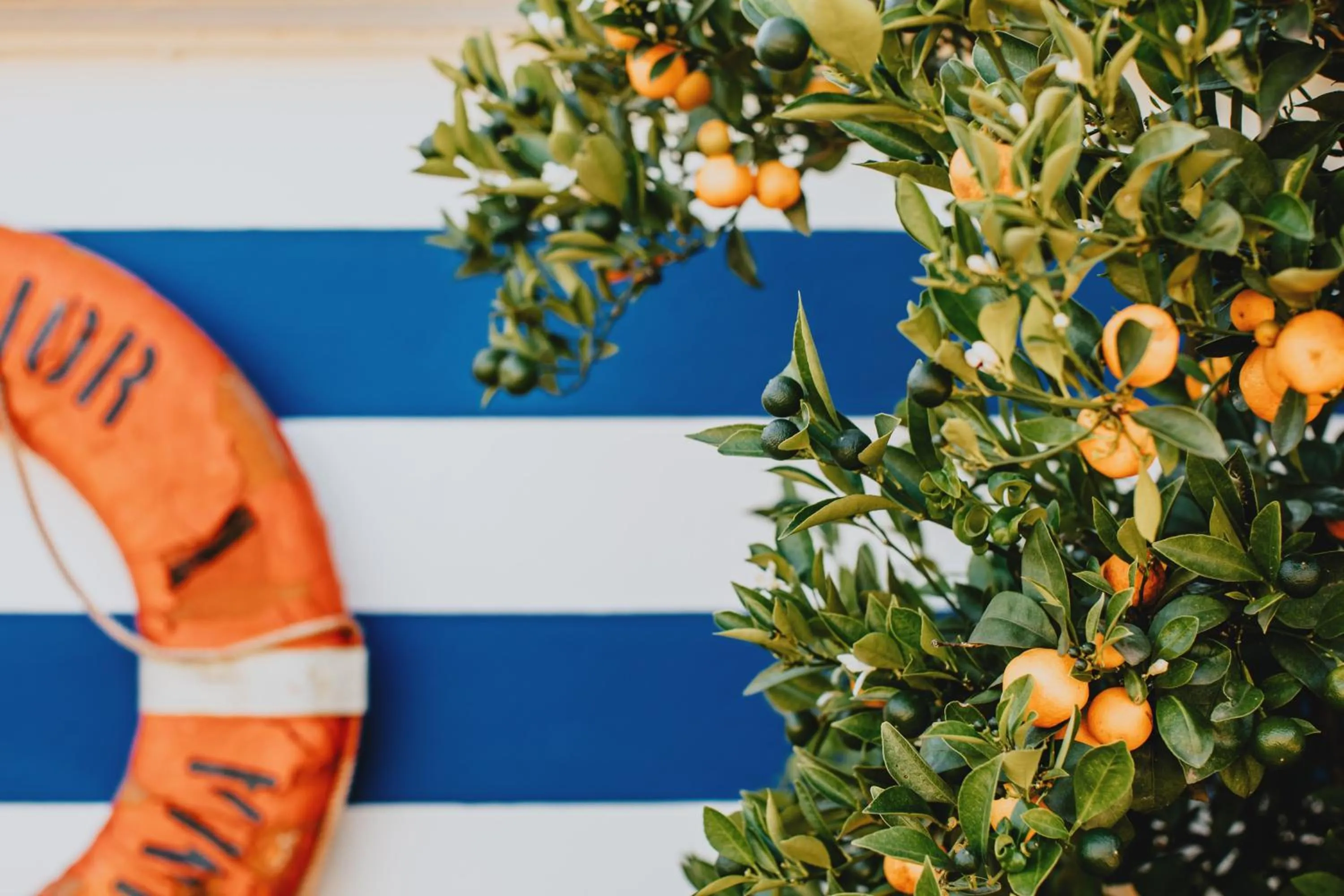 Garden in Art Hotel Riposo