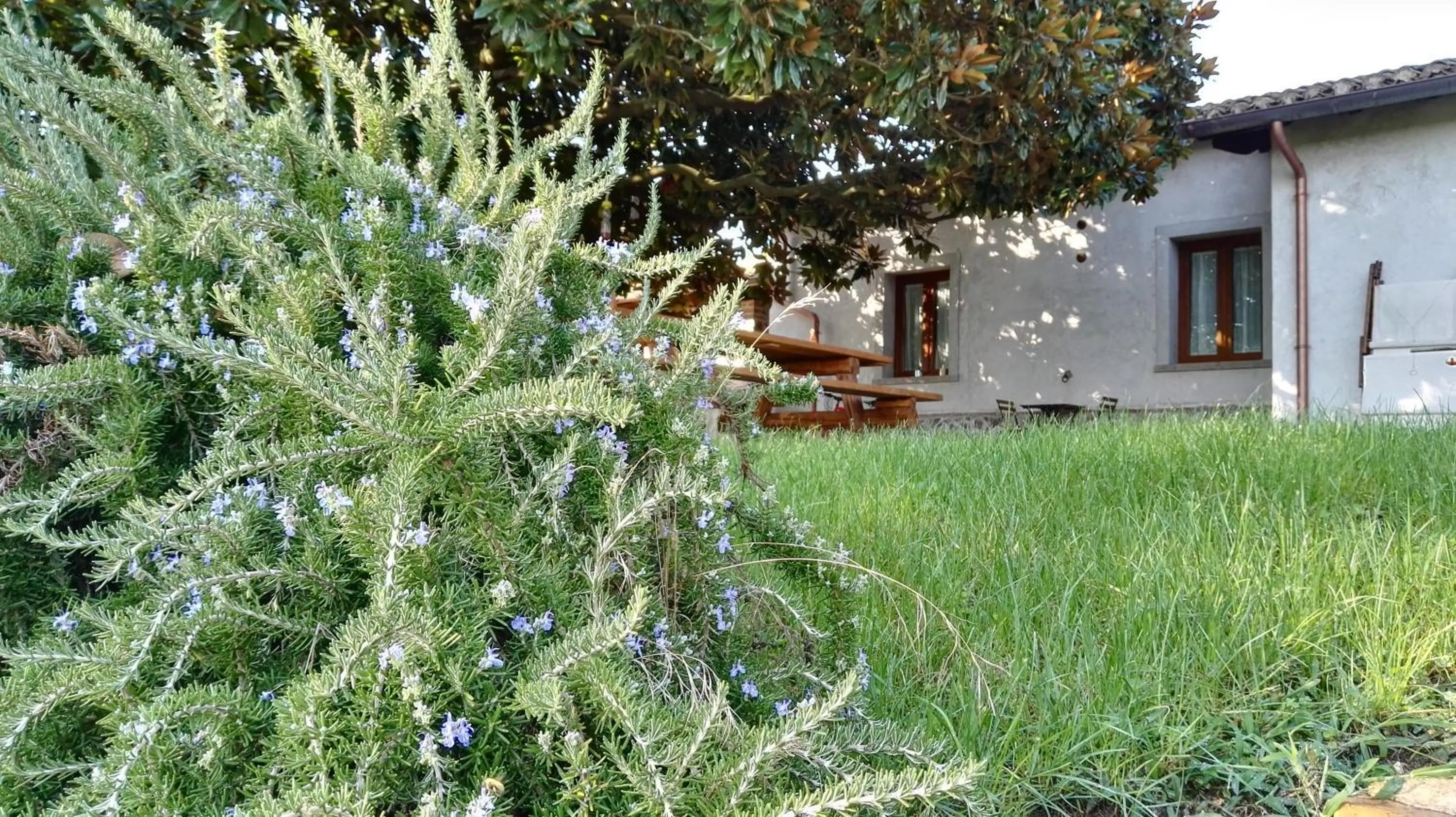 Property building in B&B Sole Mio