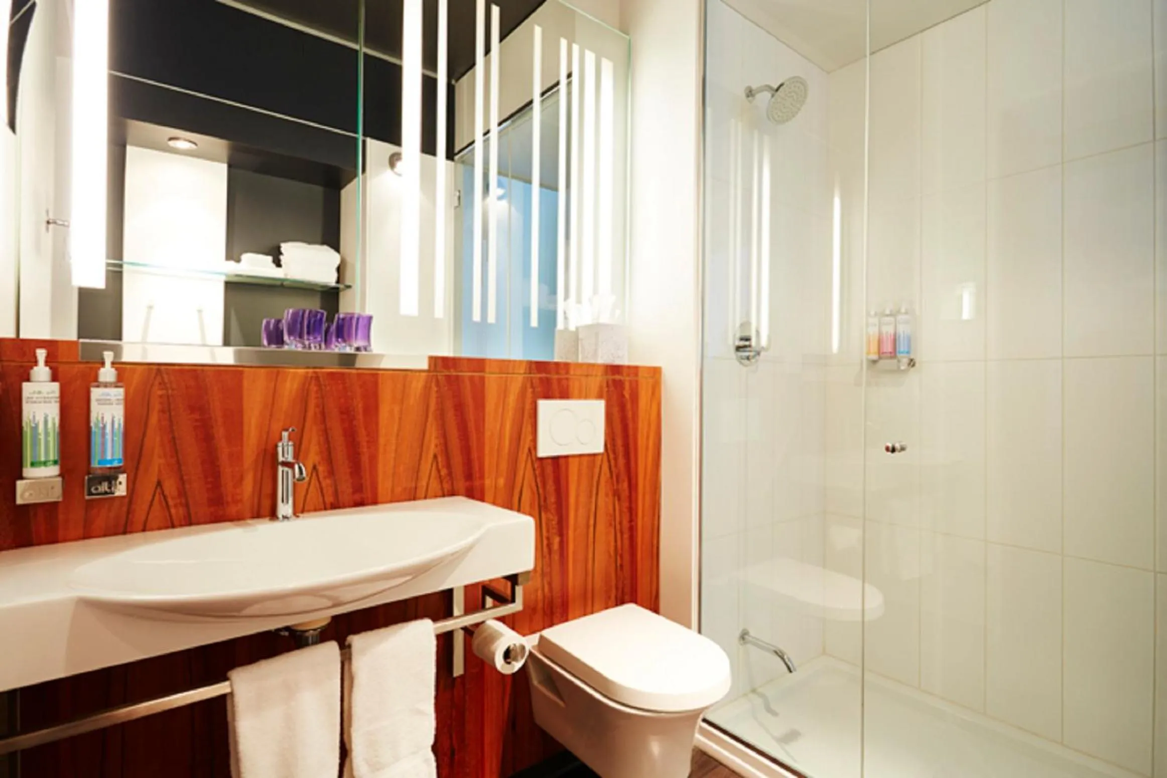 Bathroom in Alt Hotel Ottawa Downtown