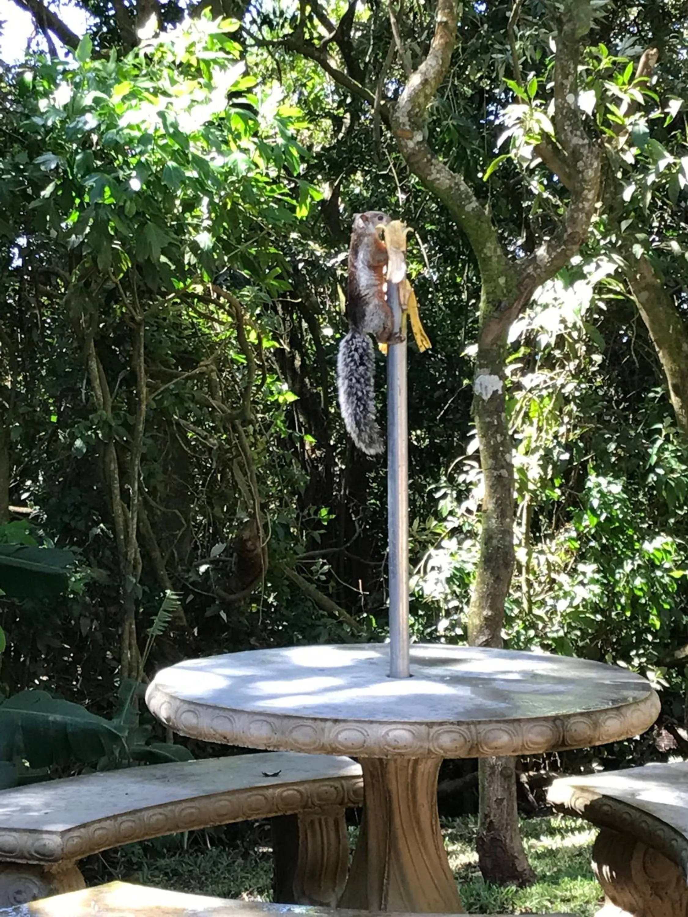 Patio in Dreams Lodge