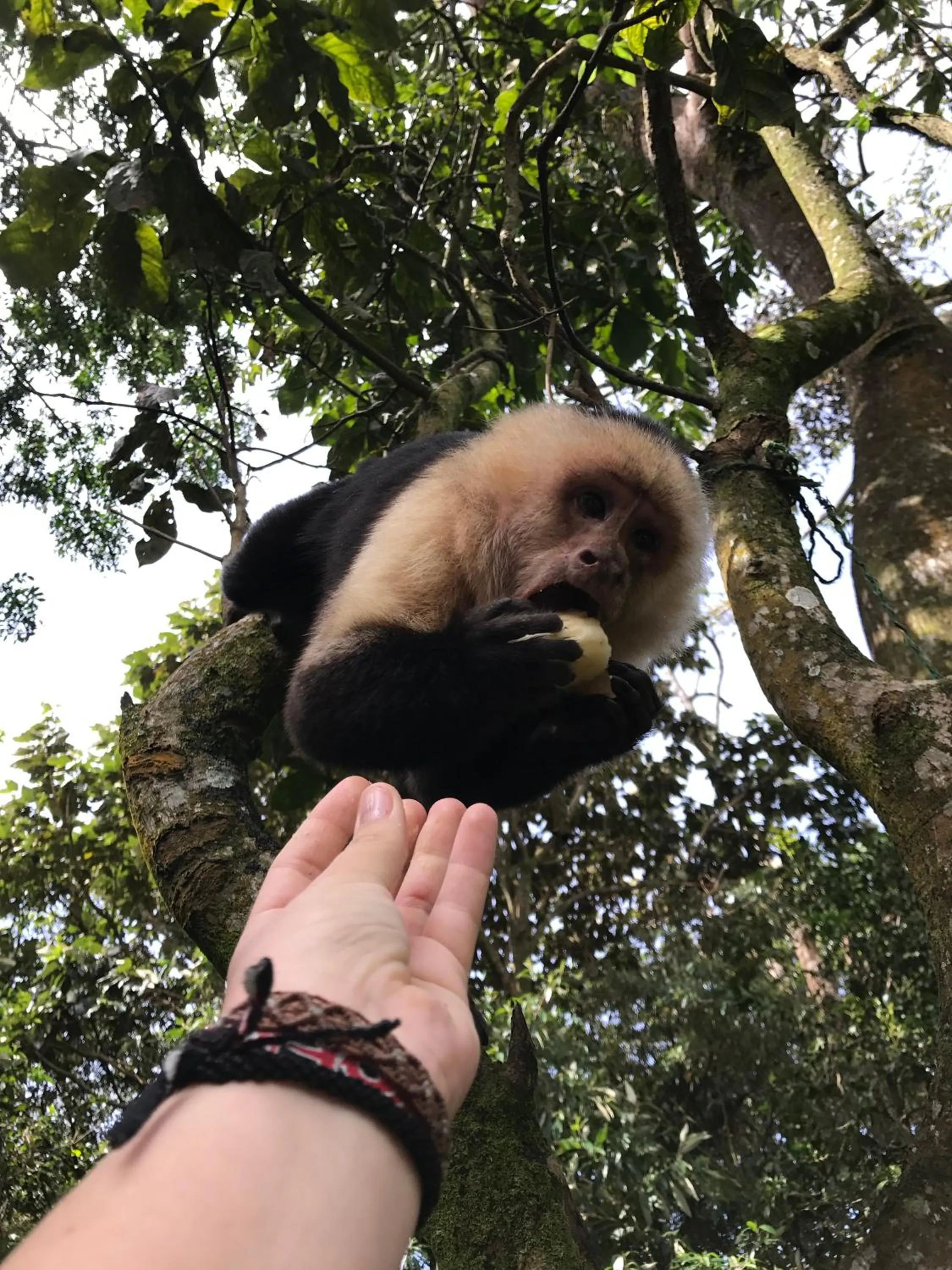 Patio in Dreams Lodge