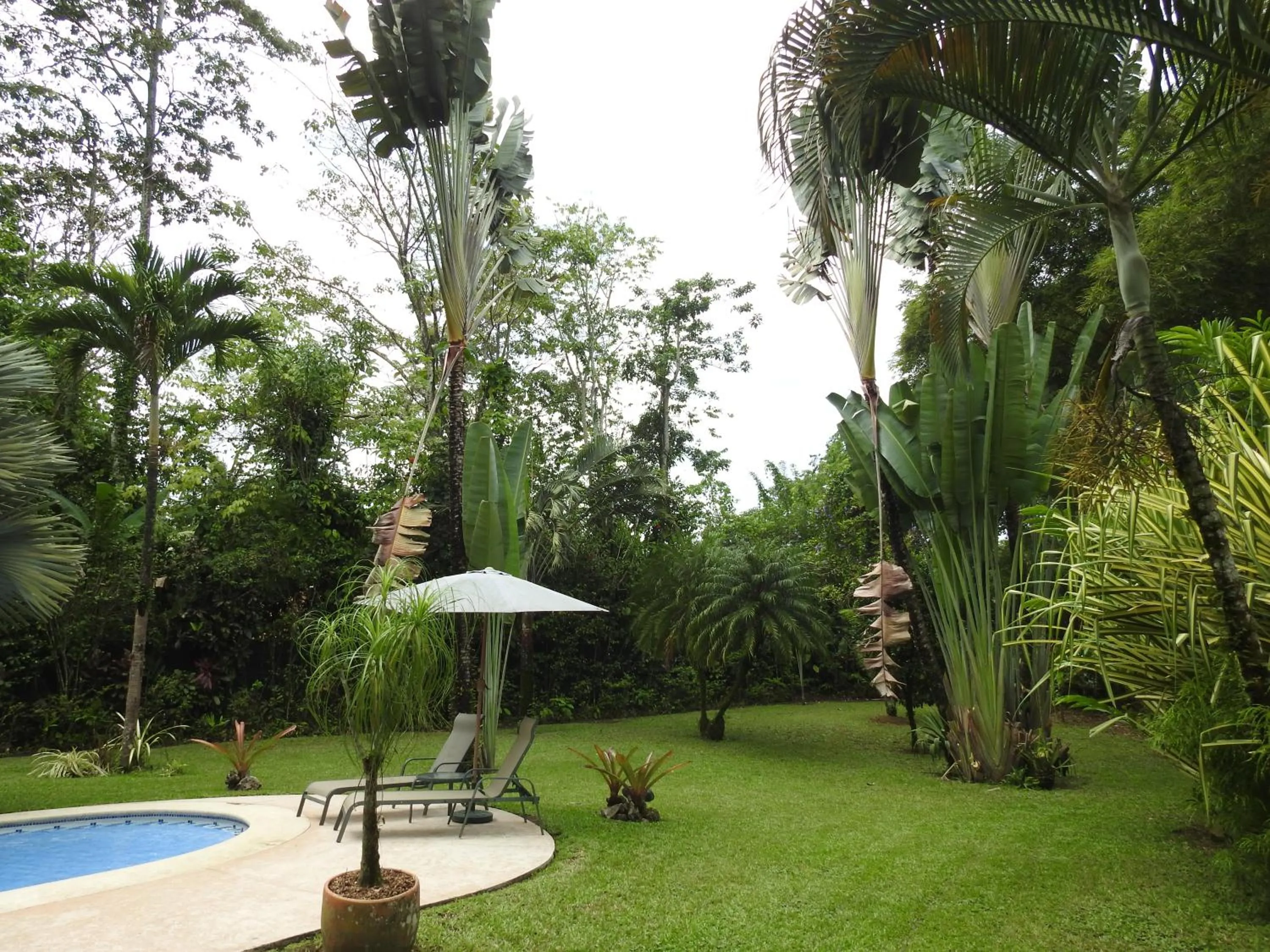 Garden in Playa Negra Guesthouse
