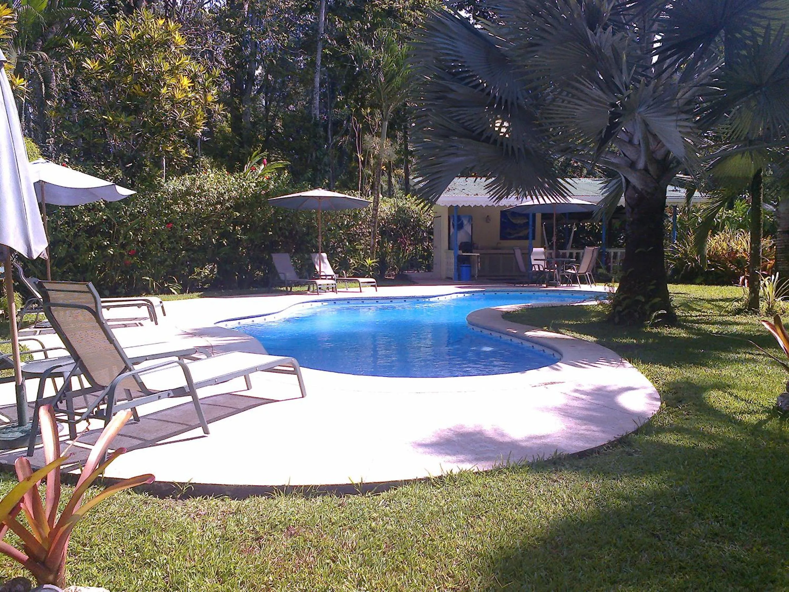 Swimming pool in Playa Negra Guesthouse