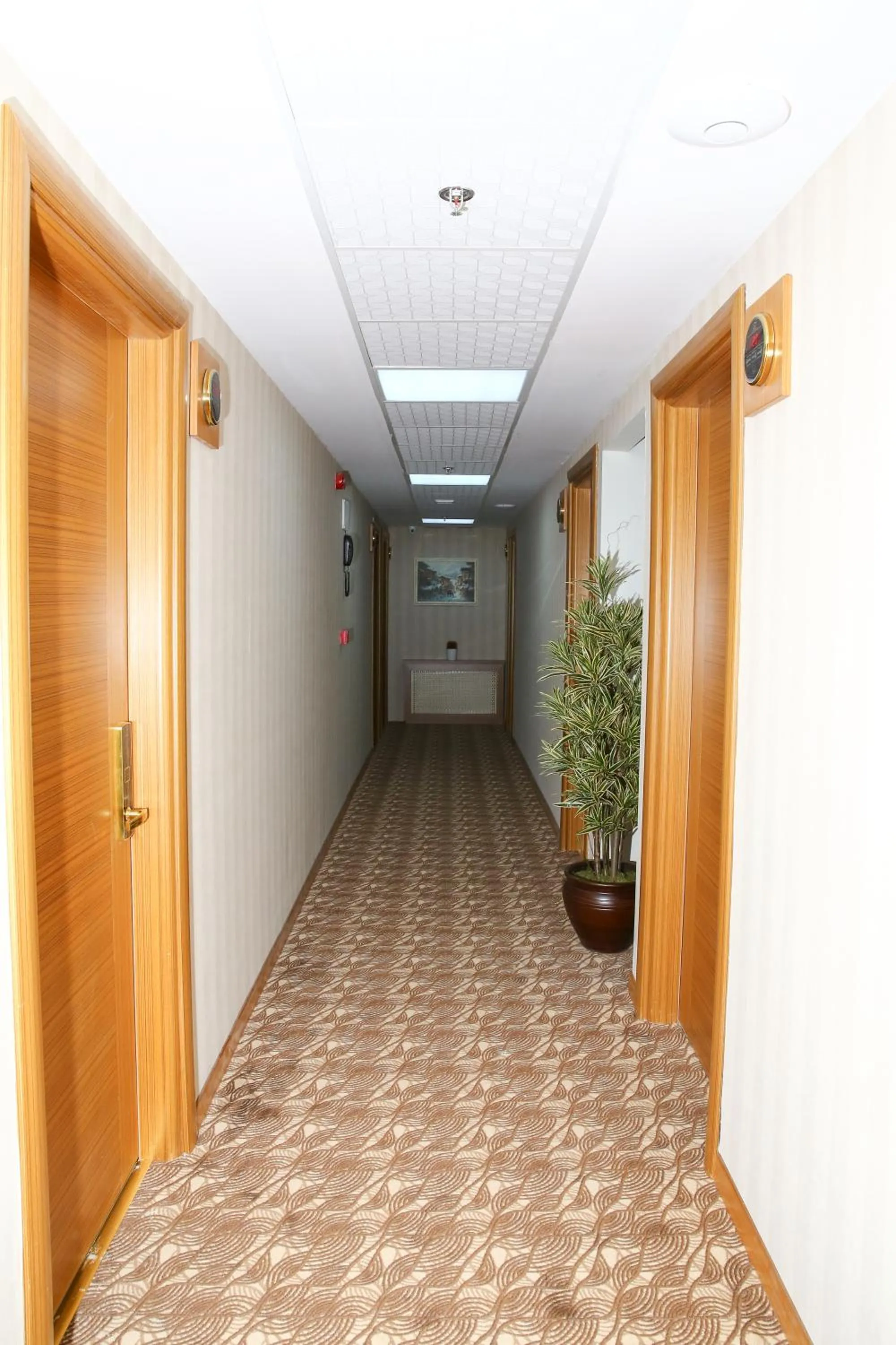 Decorative detail in Golden Lounge Hotel