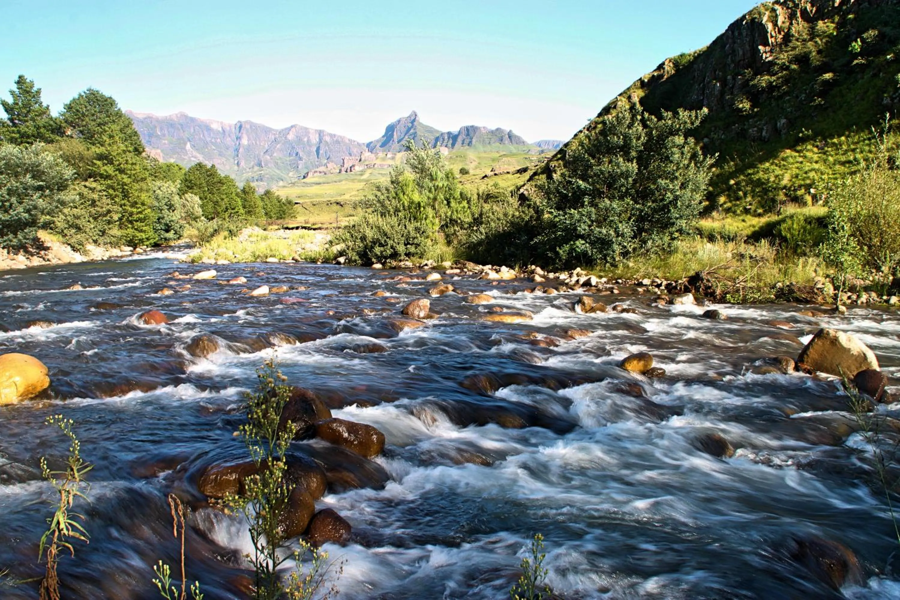 Natural landscape in Gooderson Leisure Riverbend Chalets Self Catering and Timeshare Gold Crown Resort