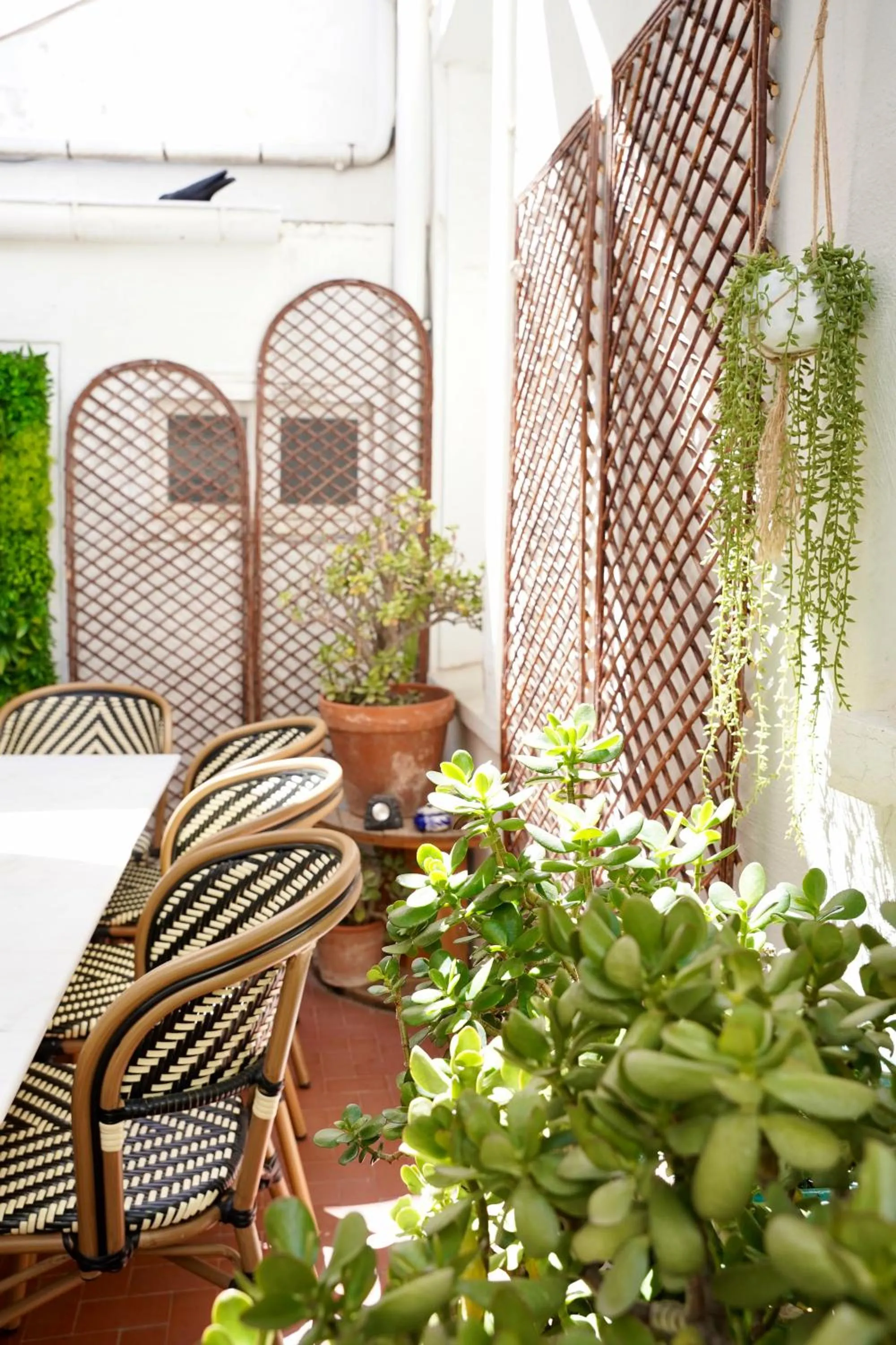 Patio in Hotel de France