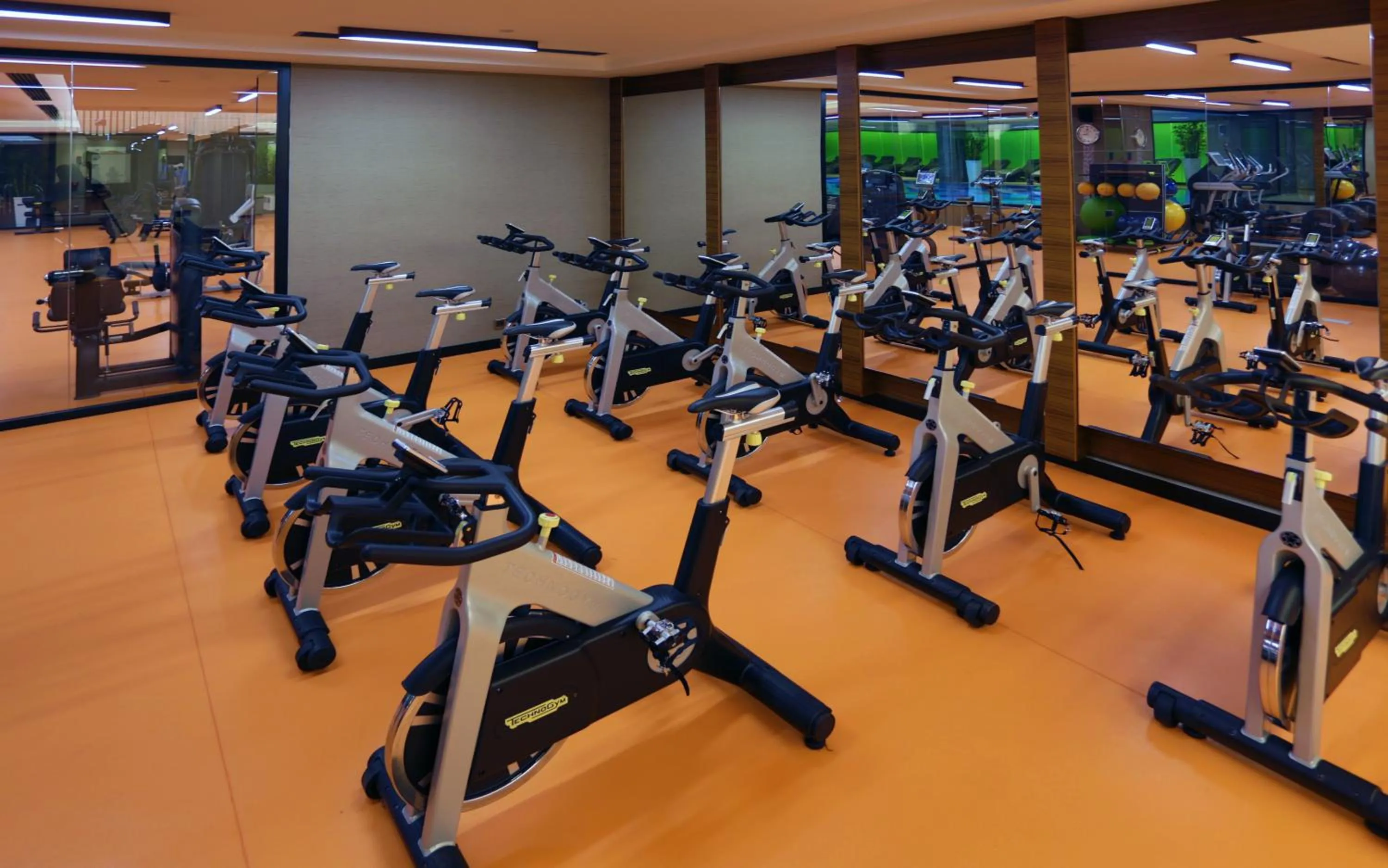 Fitness centre/facilities in Royal Stay Palace Hotel