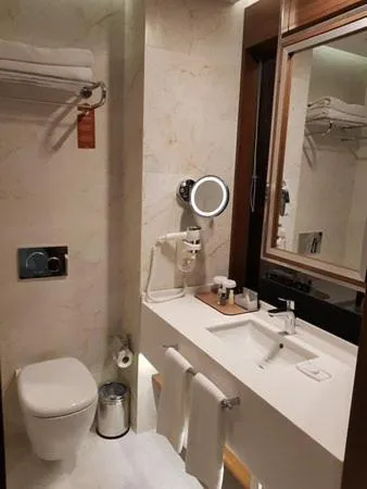 Bathroom in Royal Stay Palace Hotel