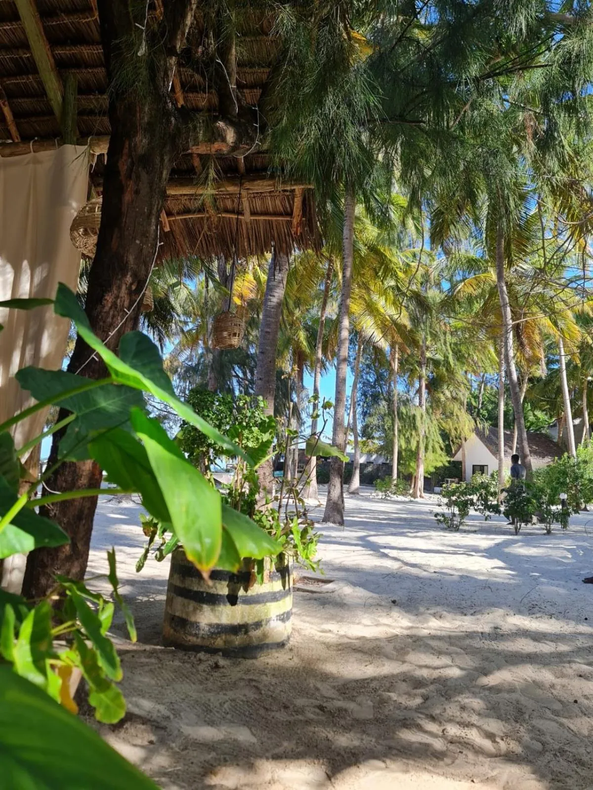 Kinazi Upepo Beach Eco Sport Resort