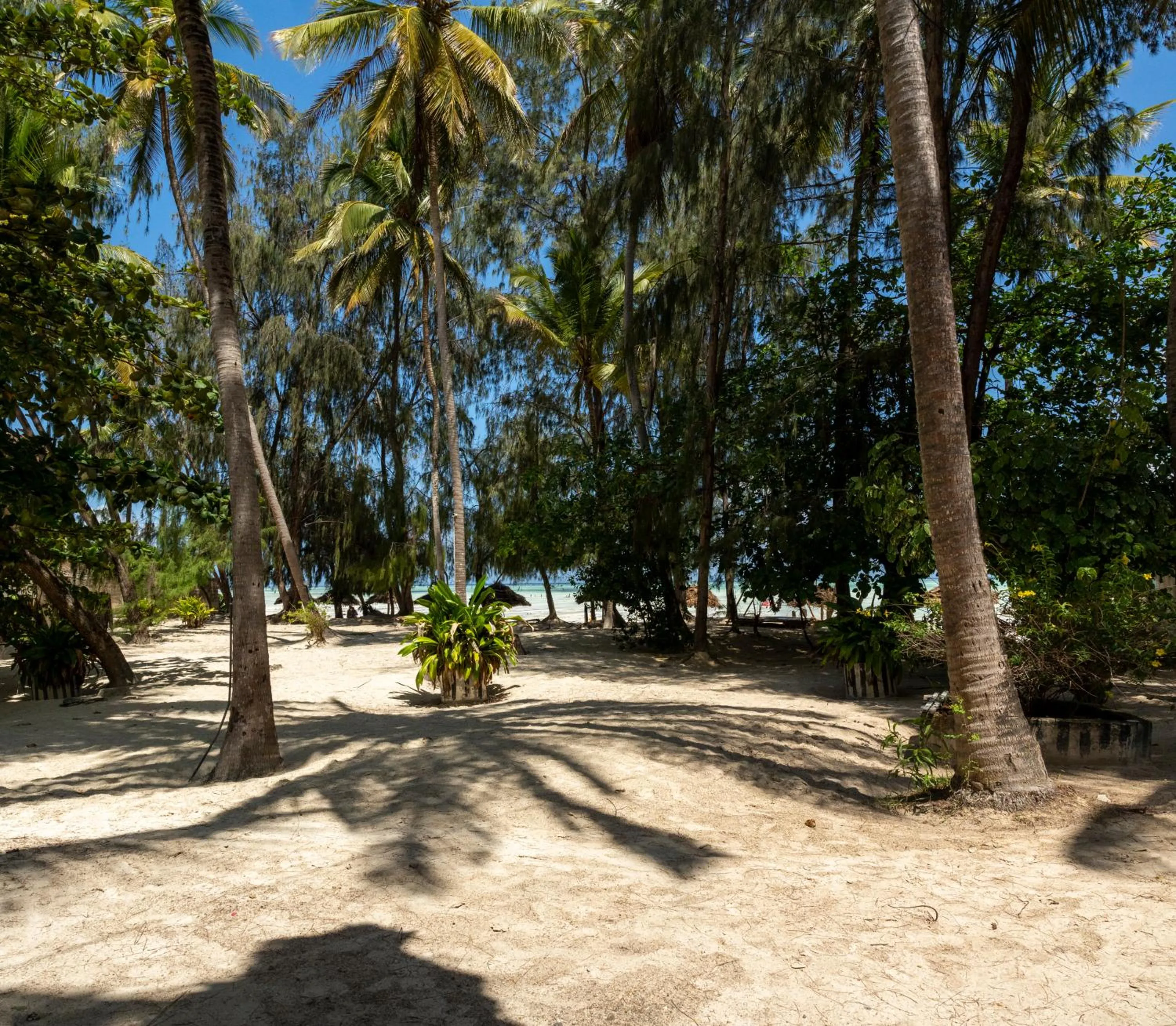 Kinazi Upepo Beach Eco Sport Resort