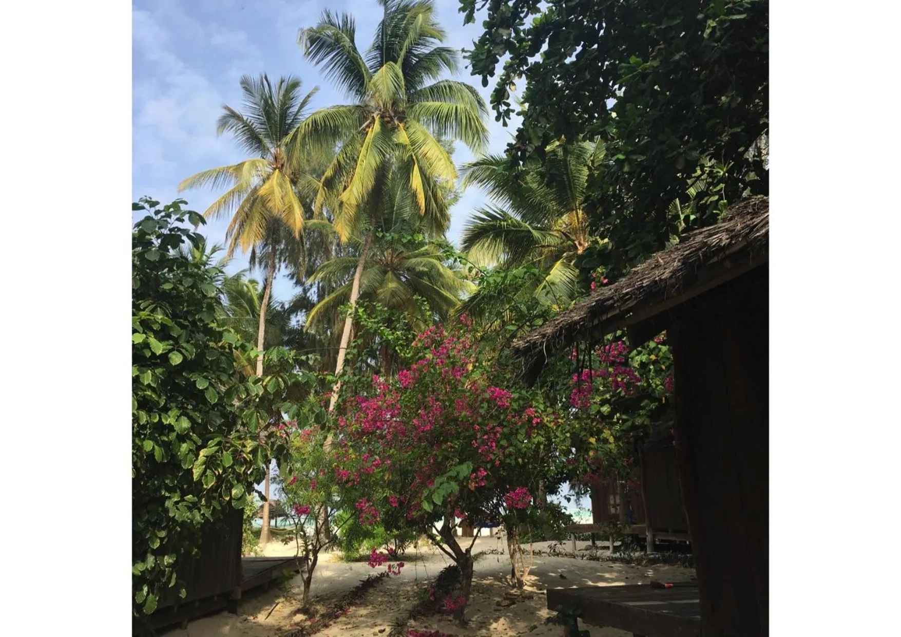 Kinazi Upepo Beach Eco Sport Resort