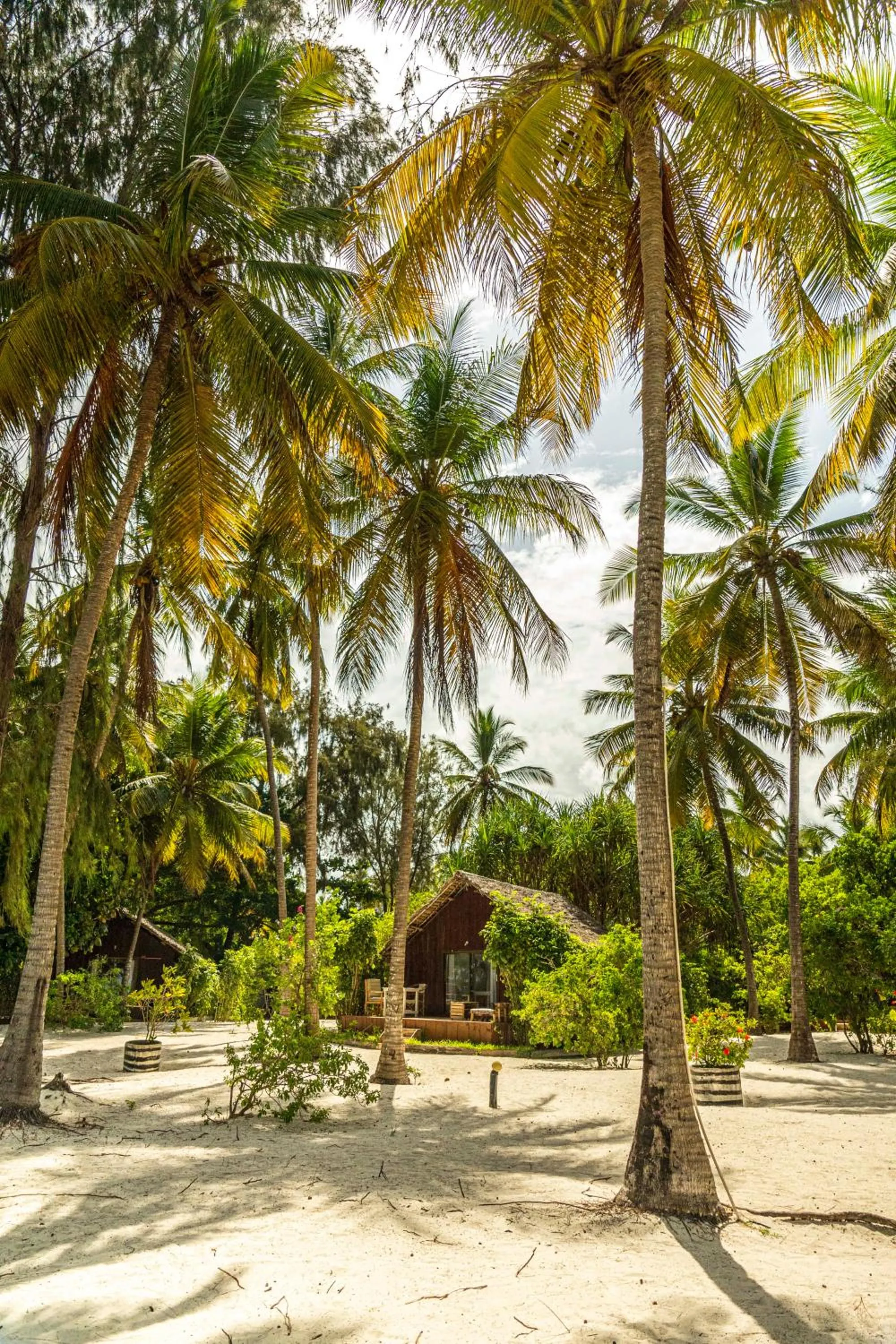 Kinazi Upepo Beach Eco Sport Resort