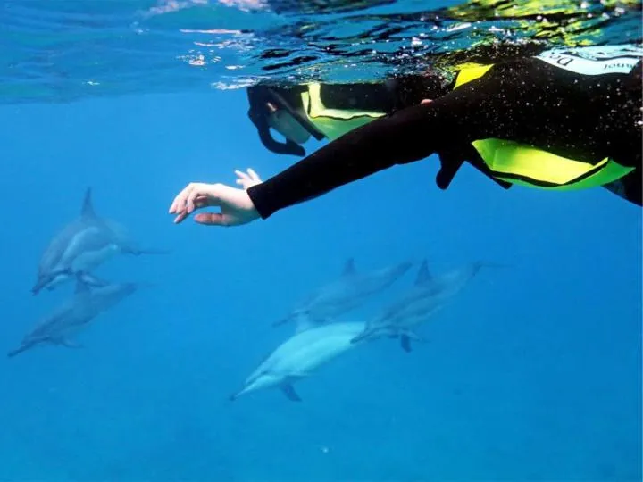 Kinazi Upepo Beach Eco Sport Resort