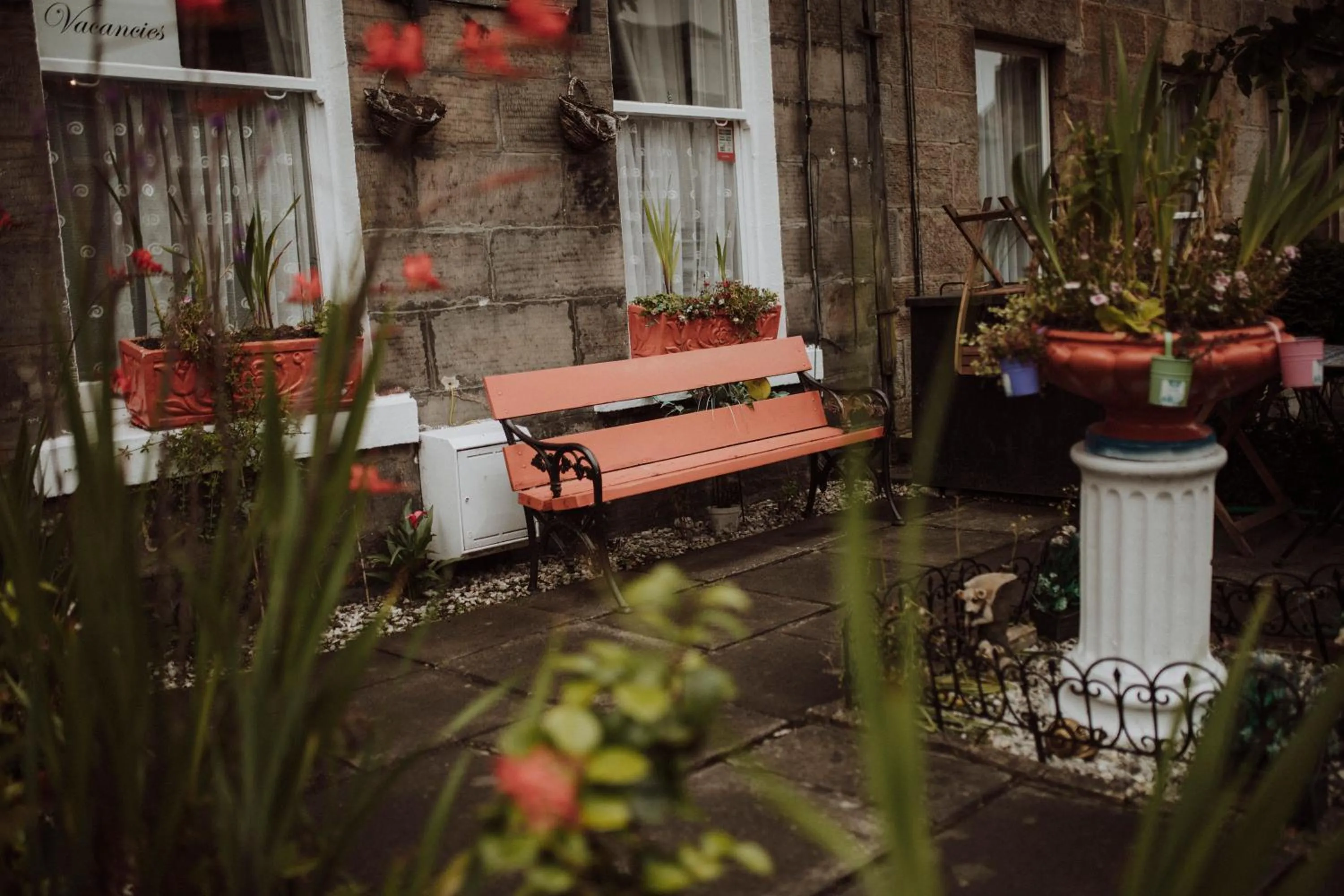Garden view in 16 Pilrig Guest House