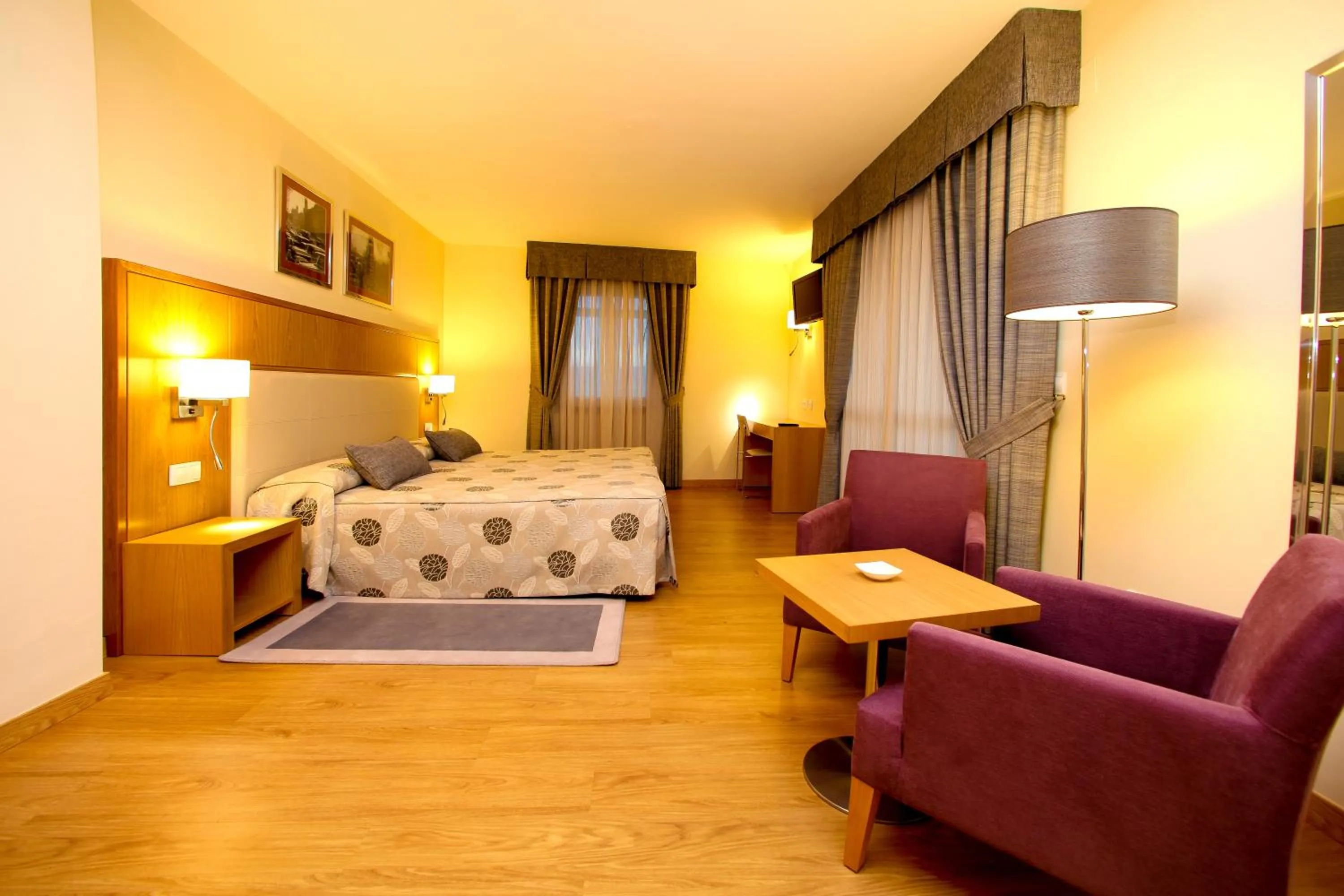 Photo of the whole room in Hotel Condes De Lemos España