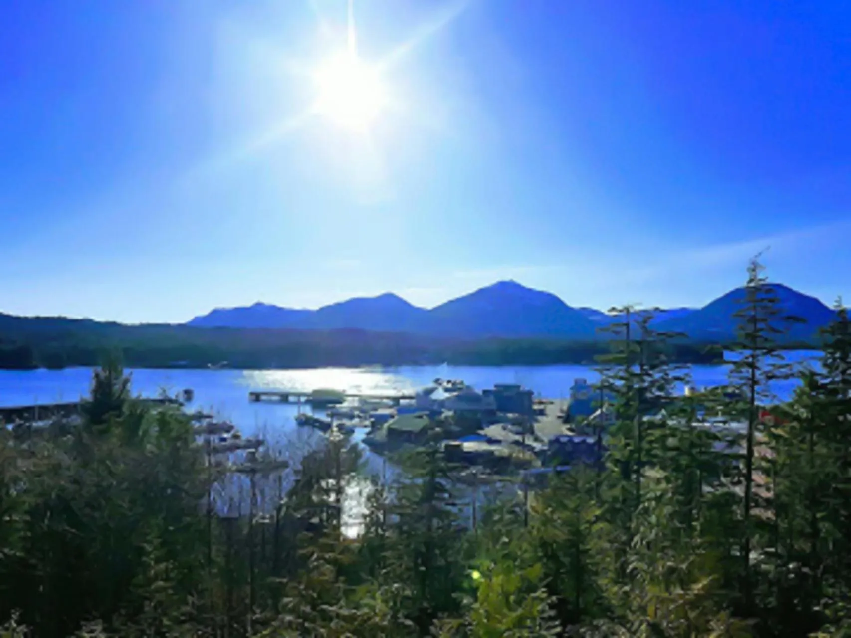 View (from property/room) in Cape Fox Lodge