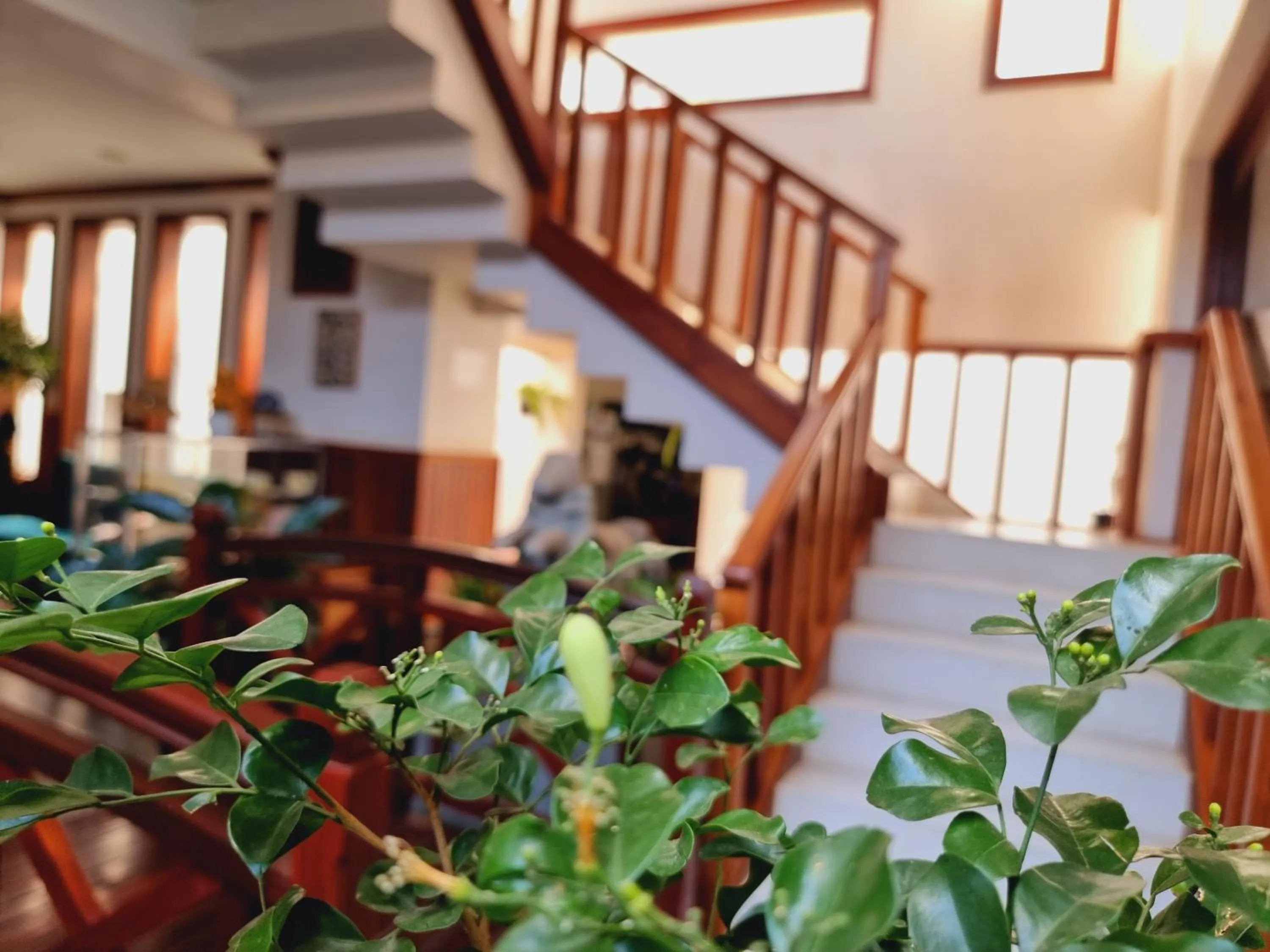 Property building in Víd Angkor Boutique