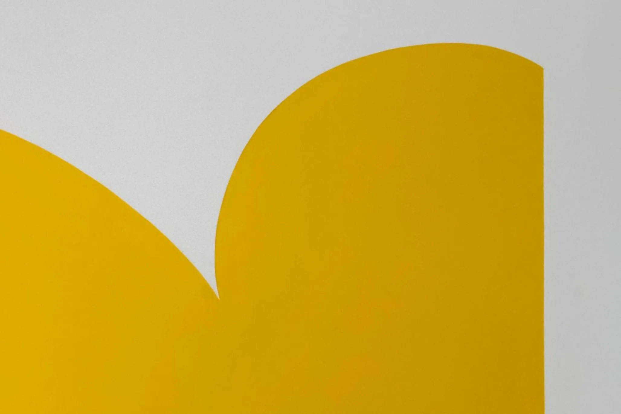 Decorative detail in Pretoria Rooms