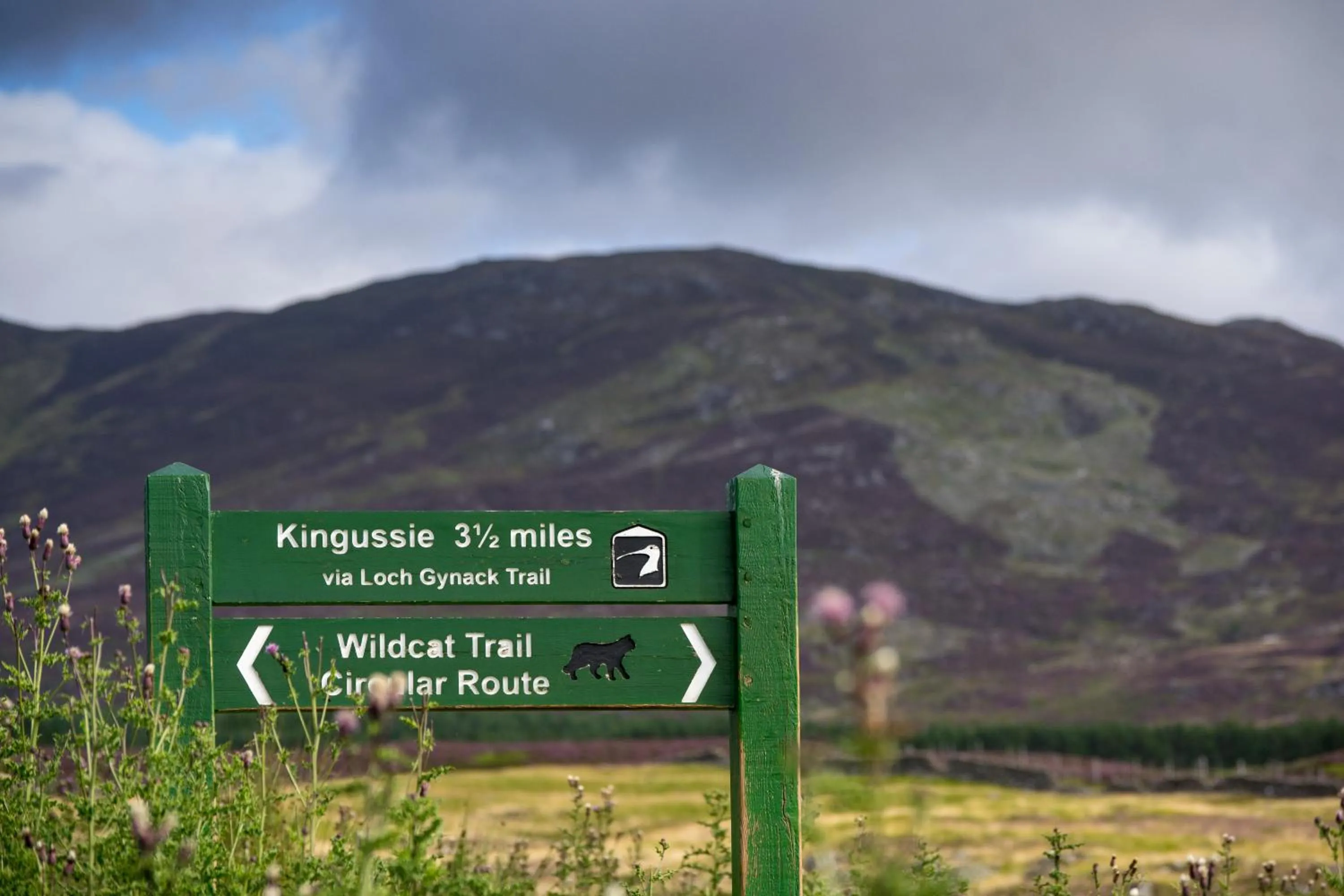 Natural landscape in Balavil Hotel