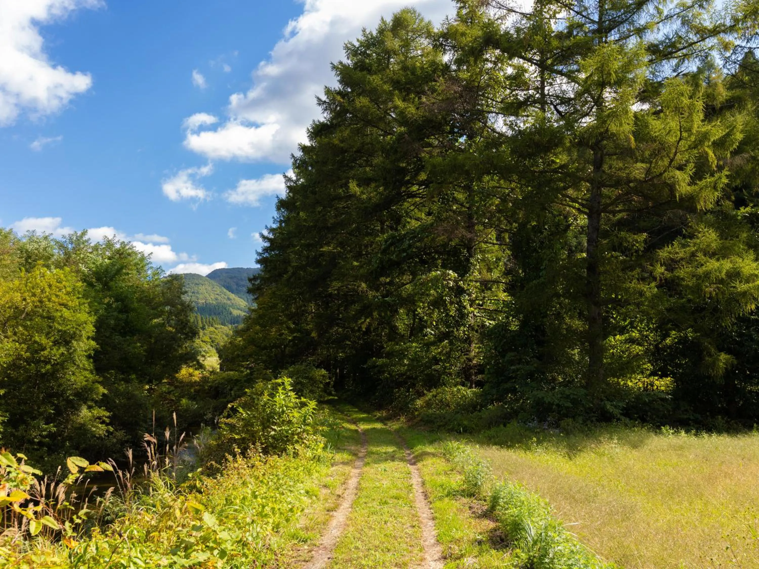 Off site in Yunohara