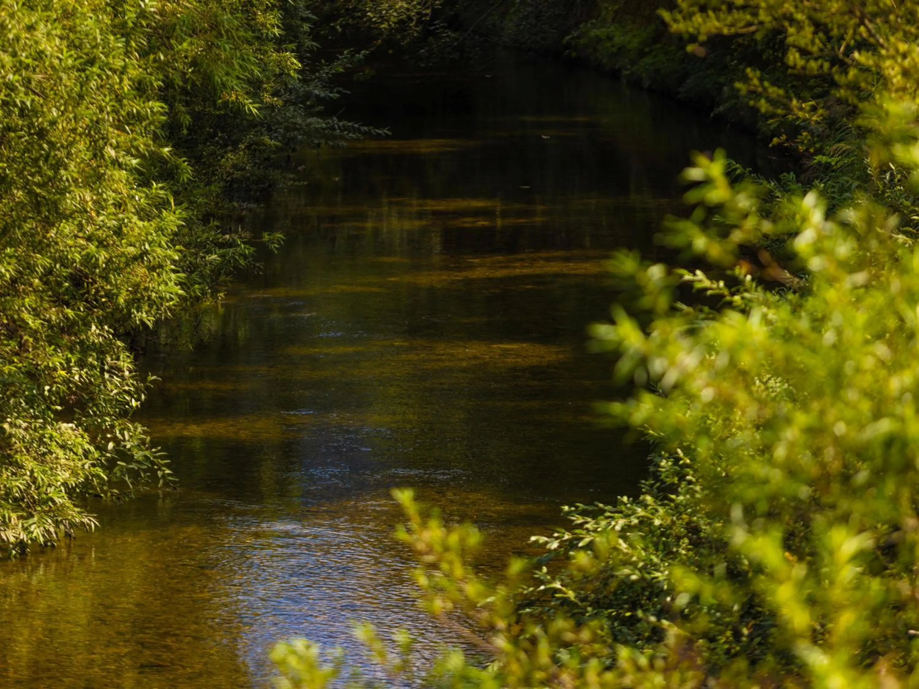 Off site in Yunohara