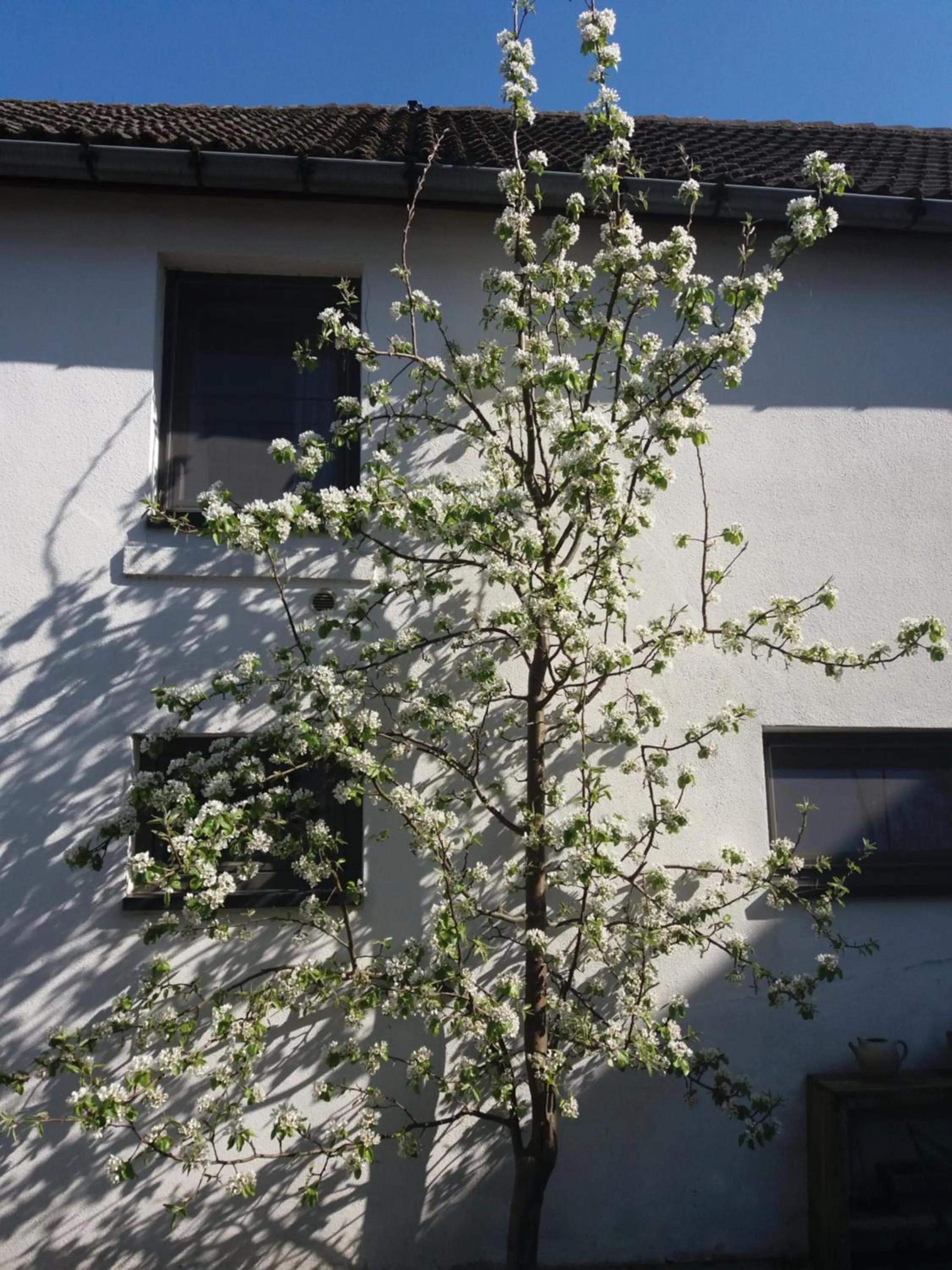 Property building in De Aventurijn